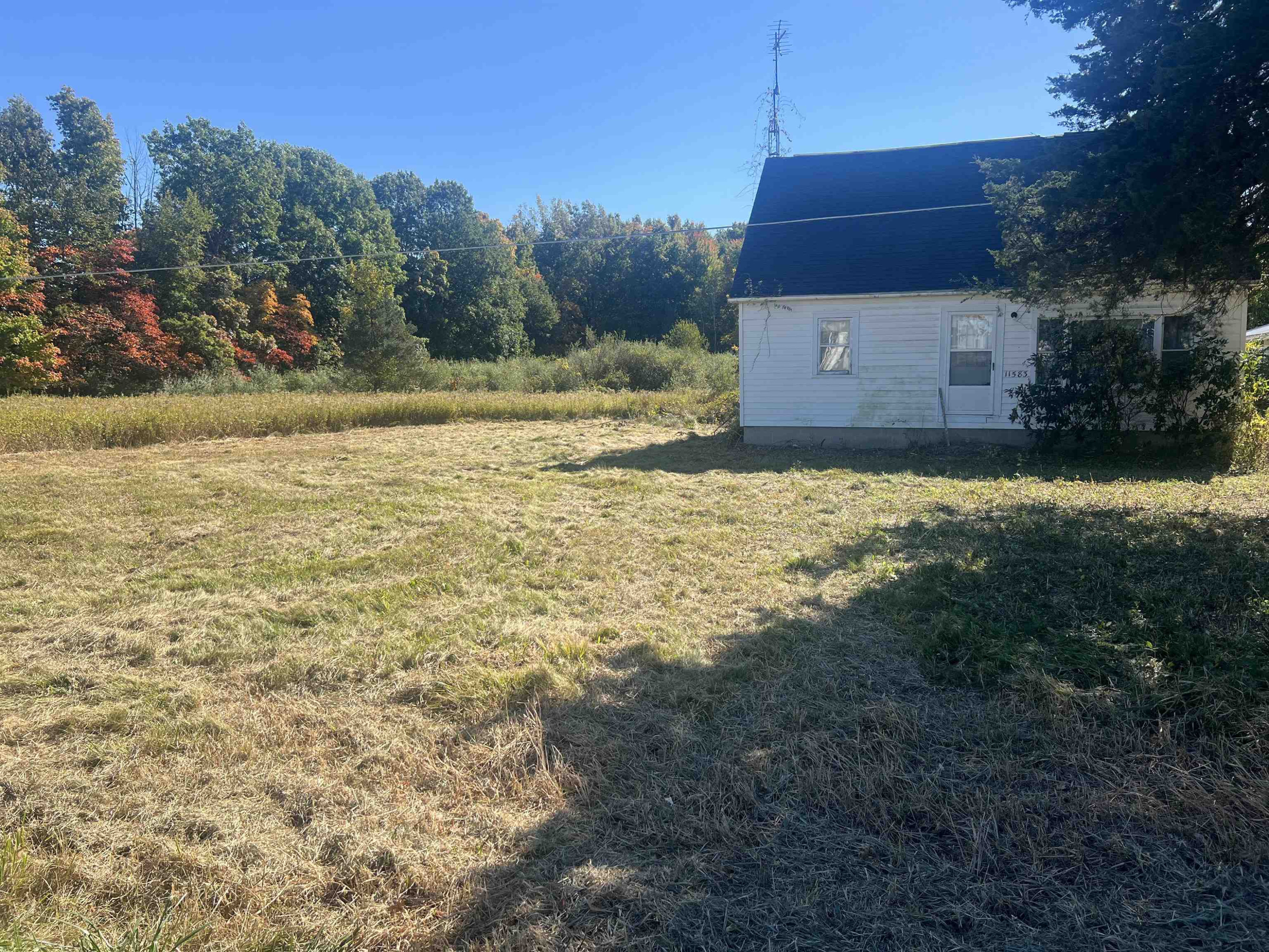 11583 Ferden Road, Chesaning, MI 48616 — Photo 4