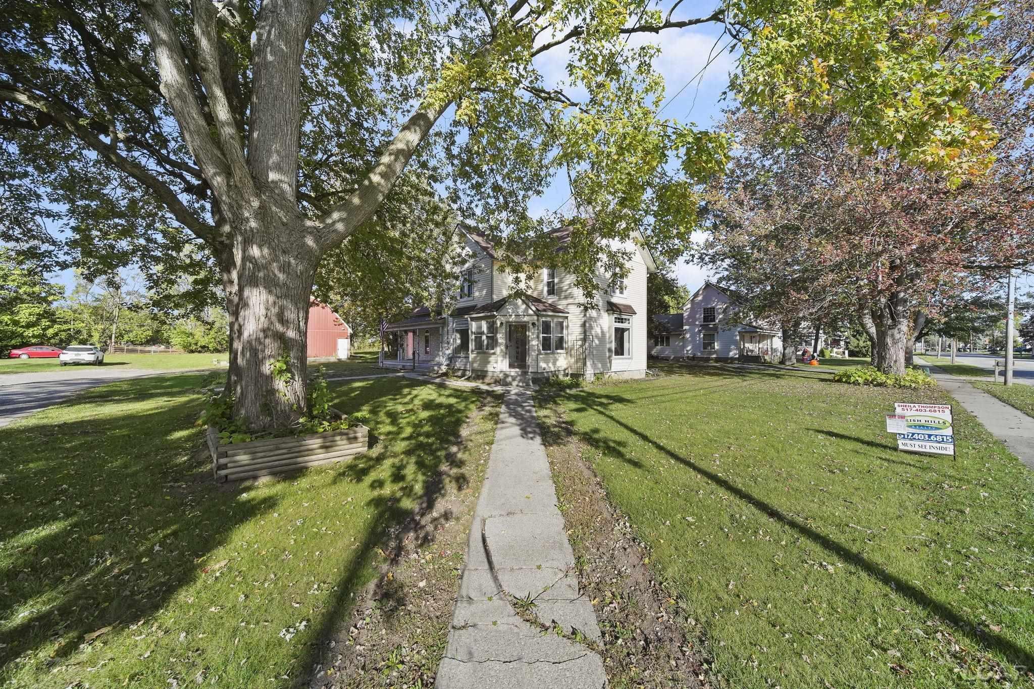 307 N Main, Britton, MI 49229 — Photo 8