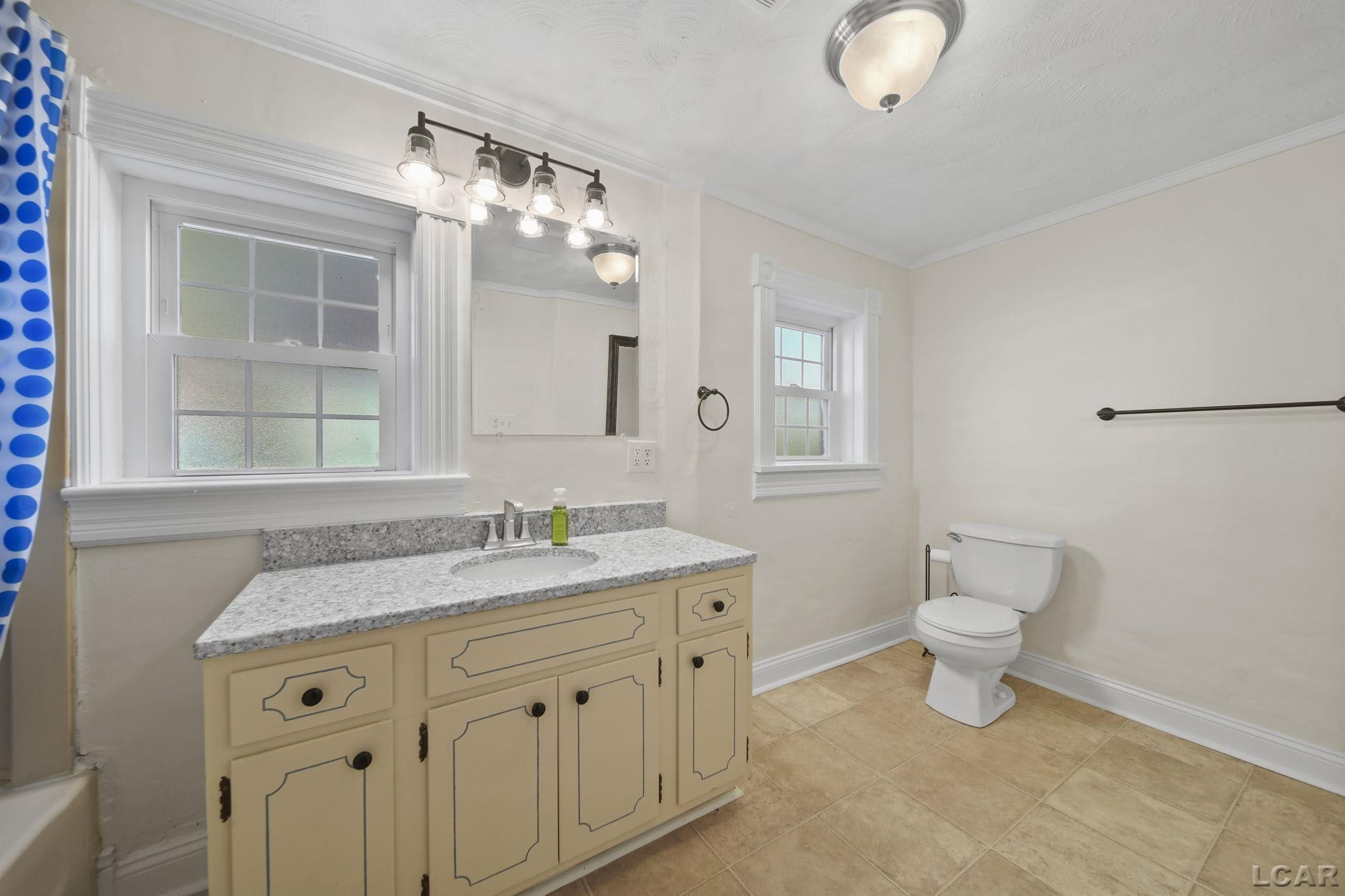 307 N Main, Britton, MI 49229 — Photo 41