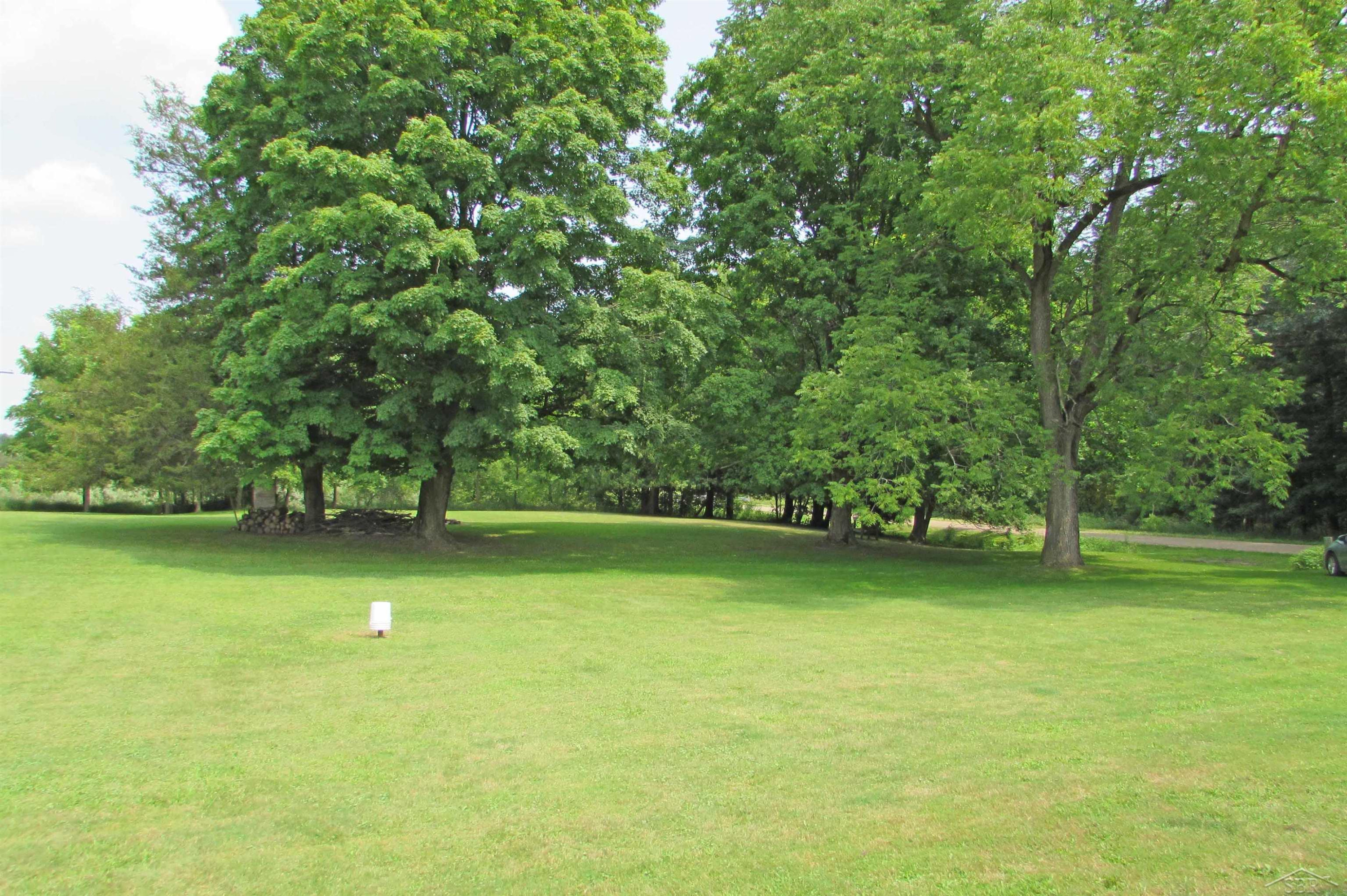 10434 Stevens Road, Brant, MI 48614 — Photo 9