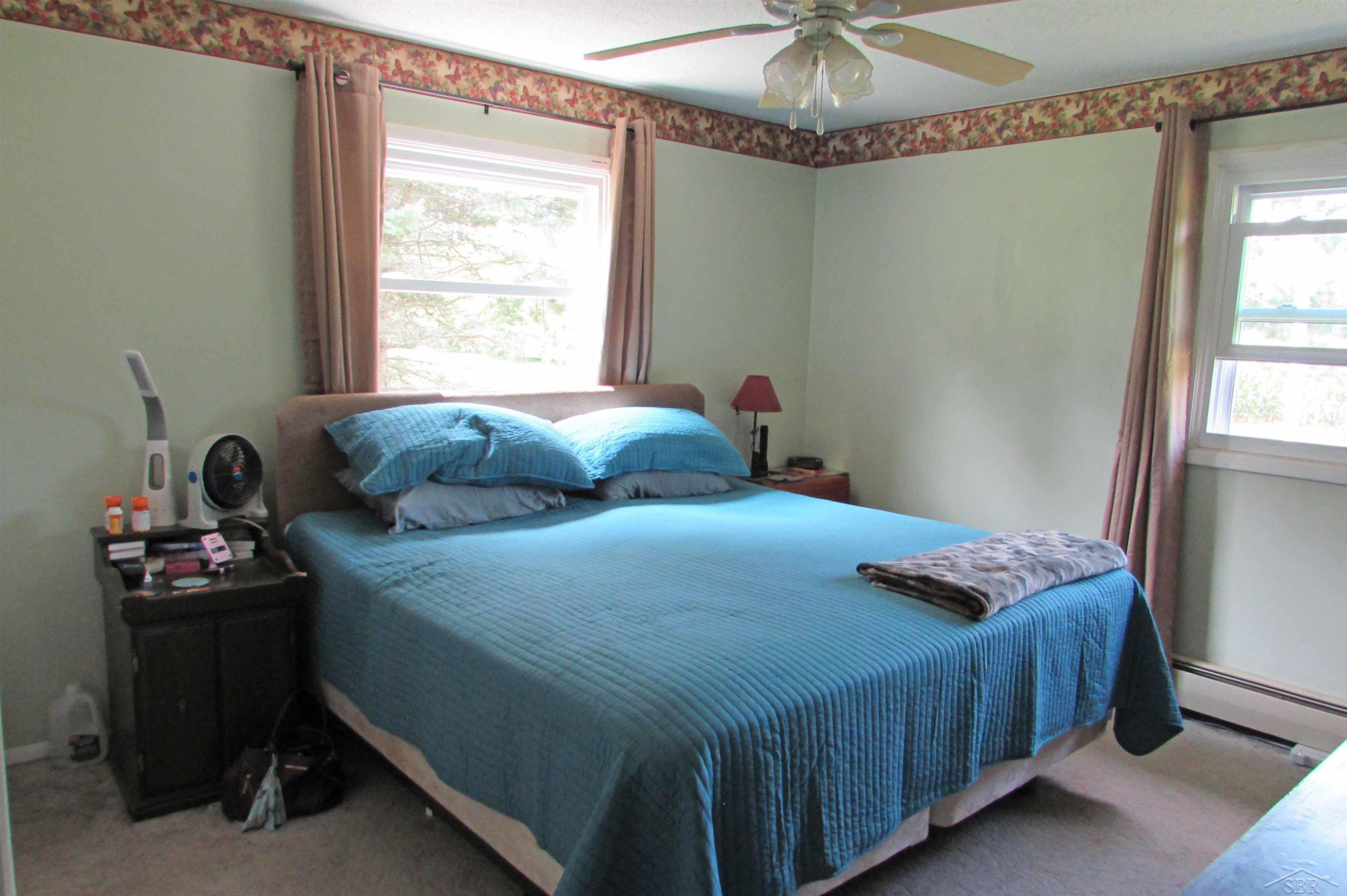 10434 Stevens Road, Brant, MI 48614 — Photo 17