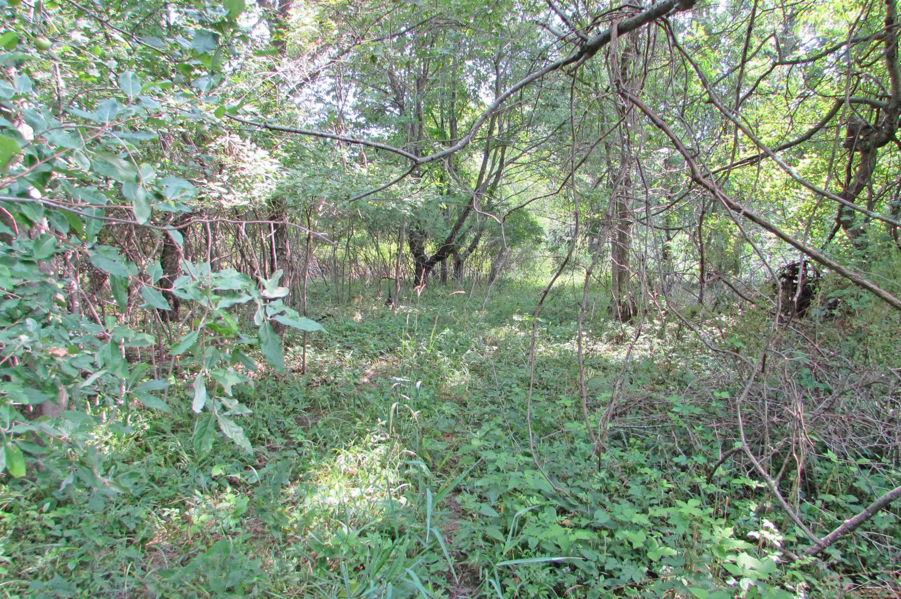 10434 Stevens Road, Brant, MI 48614 — Photo 31