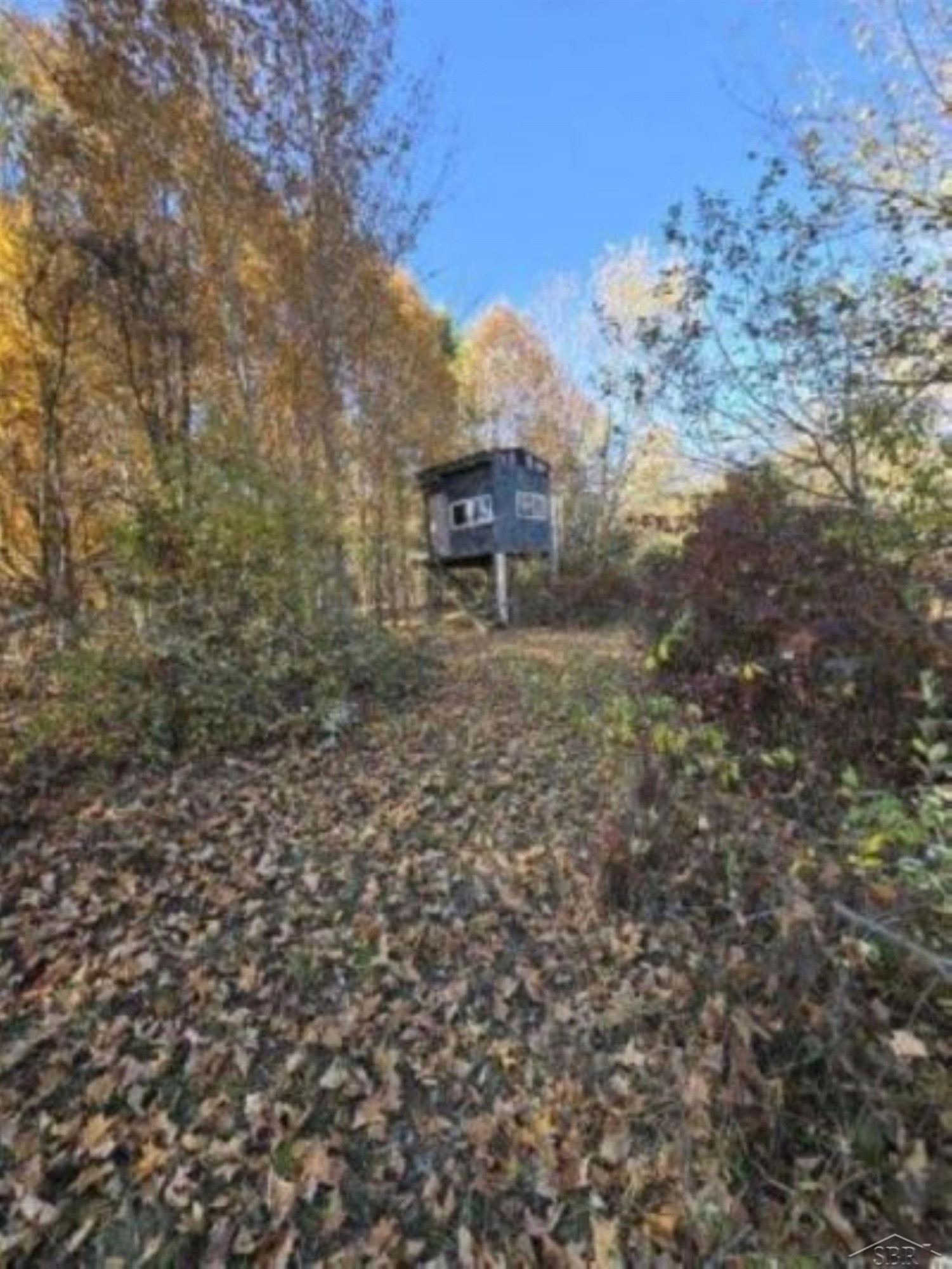 10434 Stevens Road, Brant, MI 48614 — Photo 33