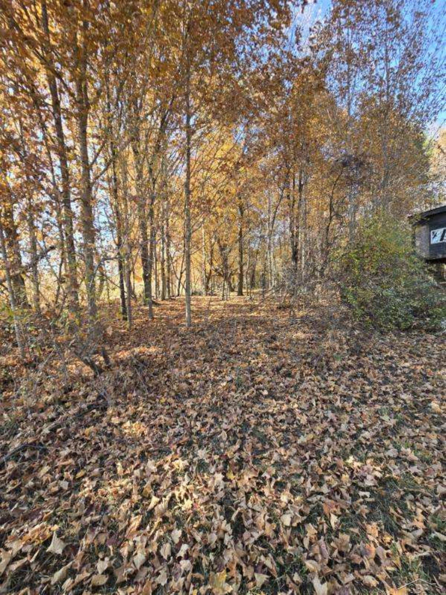 10434 Stevens Road, Brant, MI 48614 — Photo 37