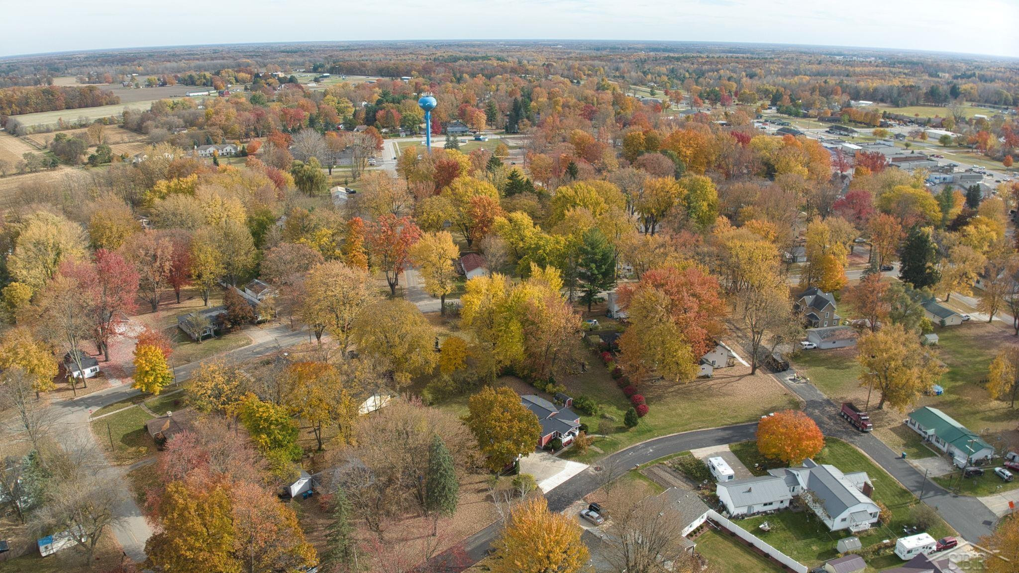 406 Simons Street, Coleman, MI 48618 — Photo 10