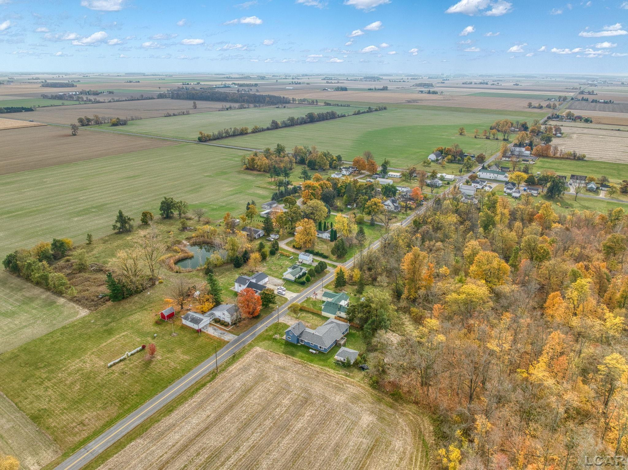 9758 Pence, Blissfield, MI 49228 — Photo 38