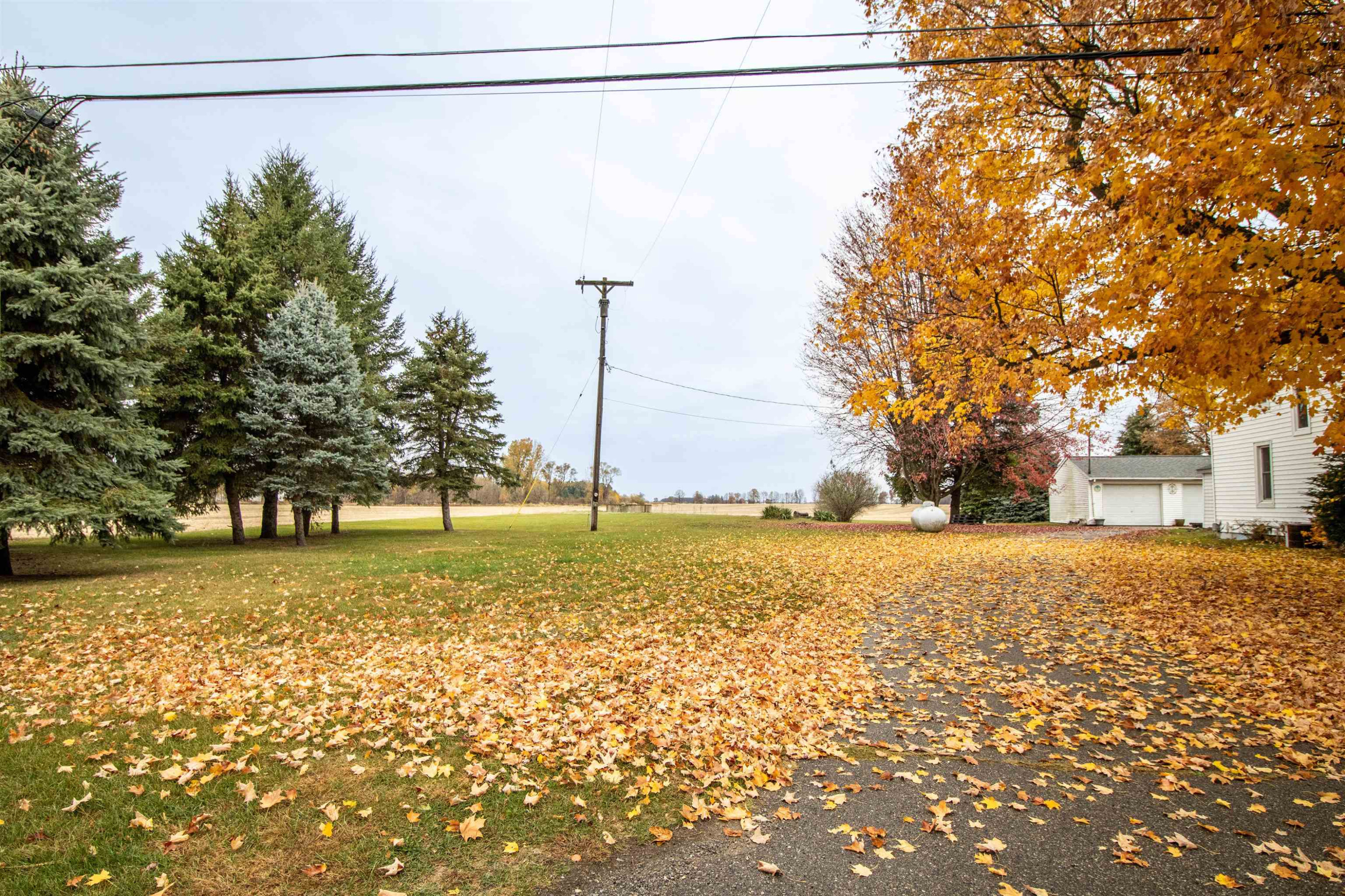 1800 W Henderson Road, Henderson, MI 48841 — Photo 38