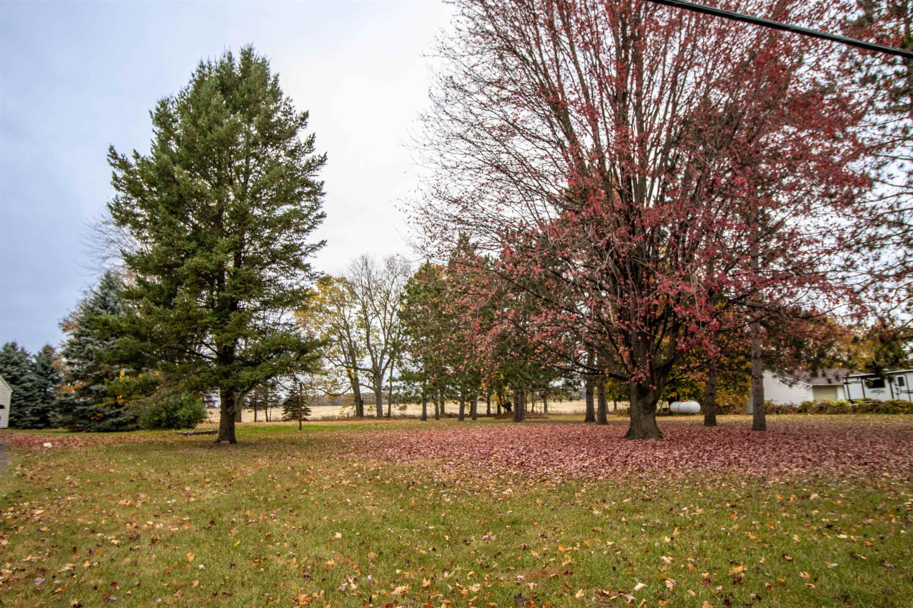 1800 W Henderson Road, Henderson, MI 48841 — Photo 39