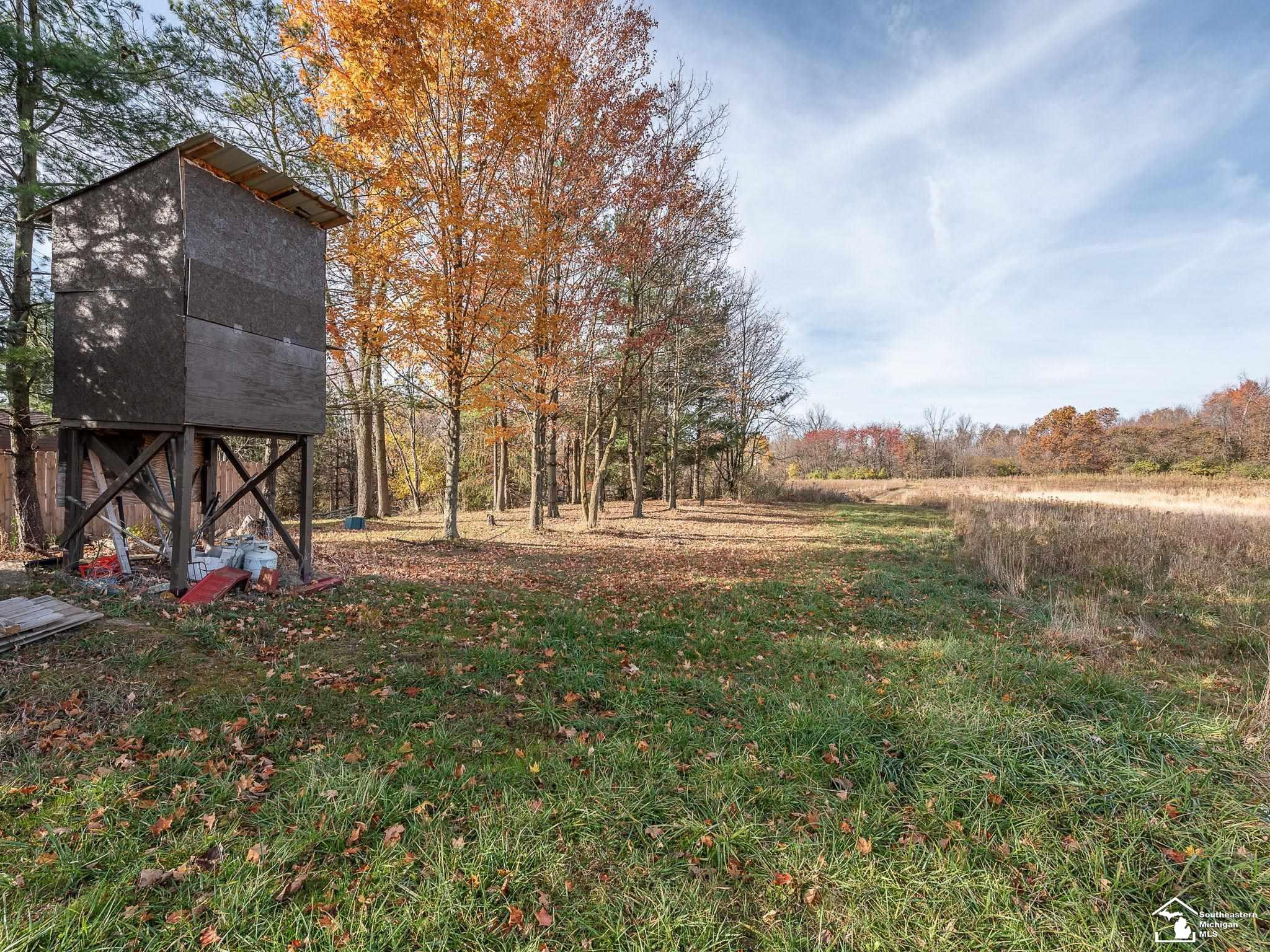 12052 Rome, Manitou Beach, MI 49253 — Photo 45