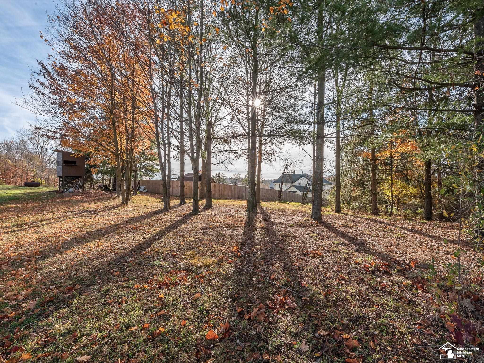 12052 Rome, Manitou Beach, MI 49253 — Photo 46