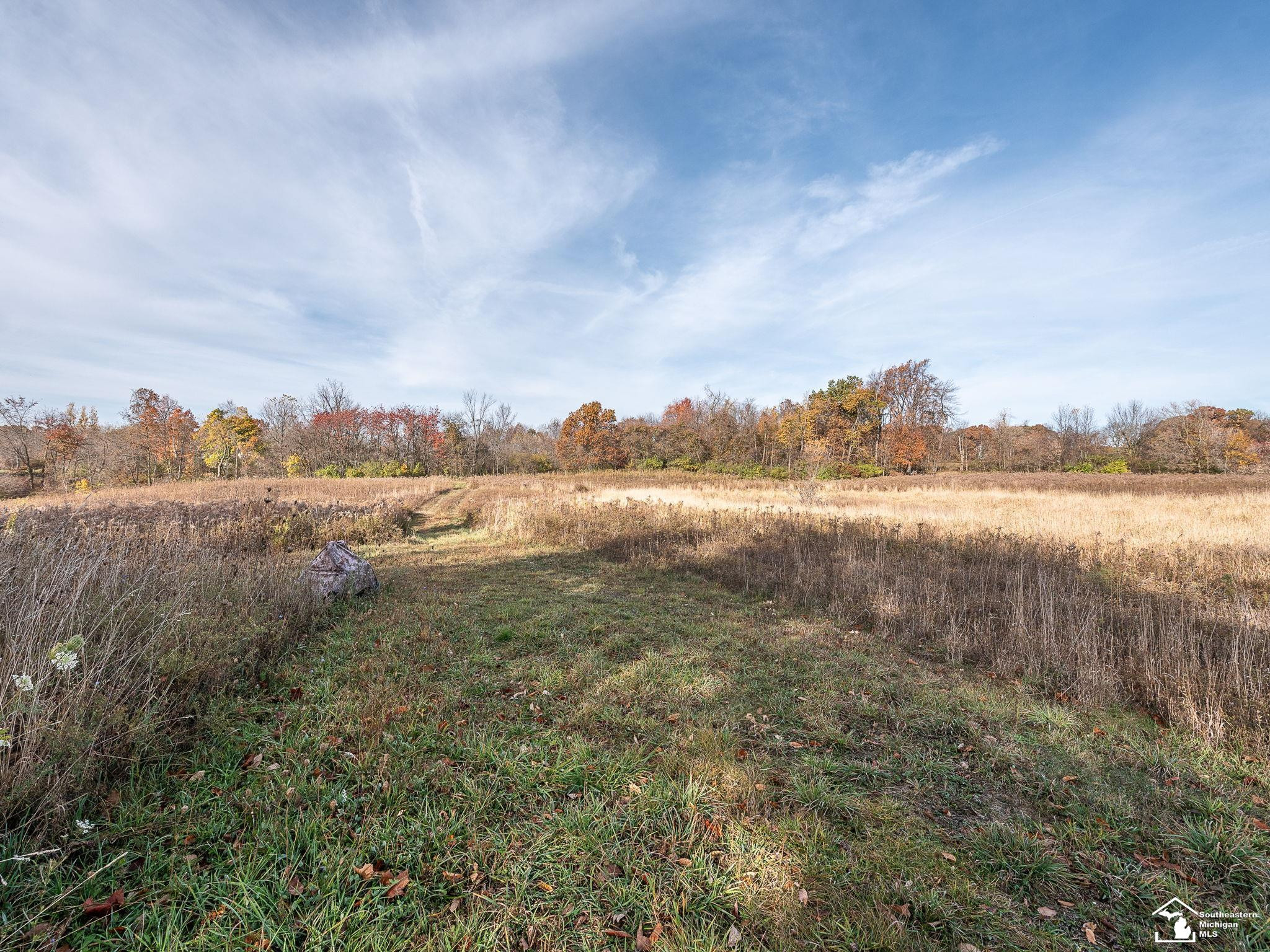 12052 Rome, Manitou Beach, MI 49253 — Photo 47