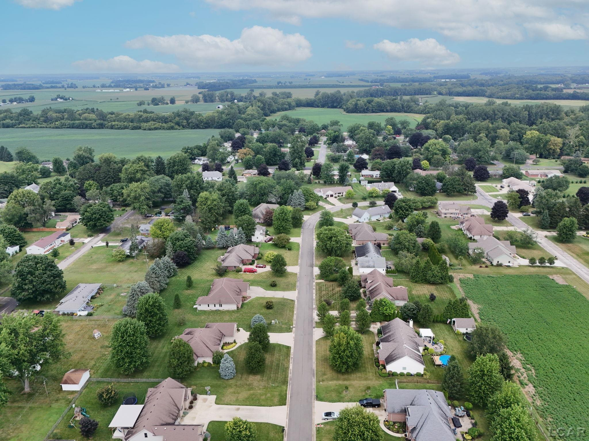 210 Grant, Blissfield, MI 49228 — Photo 40