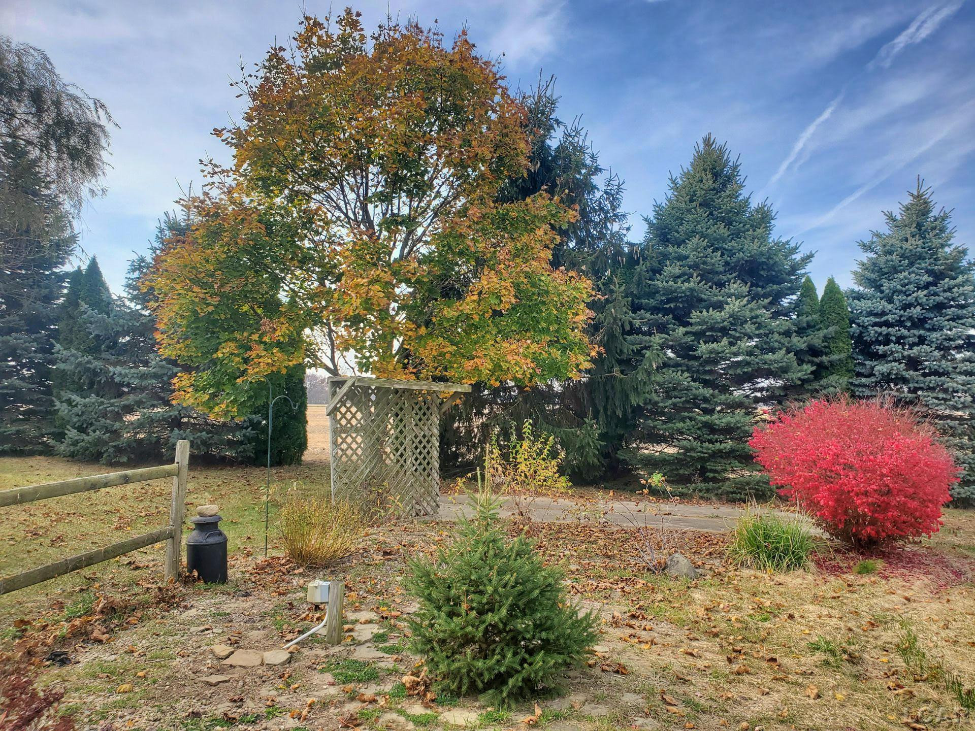 12385 State Line Road, Morenci, MI 49256 — Photo 19