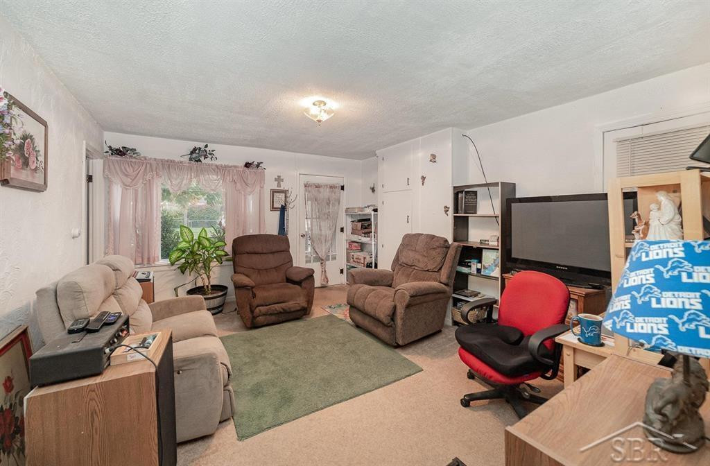 303 E Sexton Street, Breckenridge, MI 48615 — Photo 4