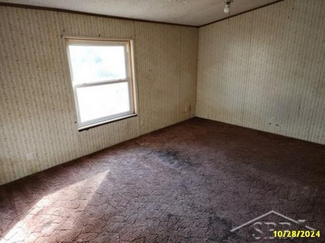 12391 Hawkins Road, Burt, MI 48417 — Photo 12