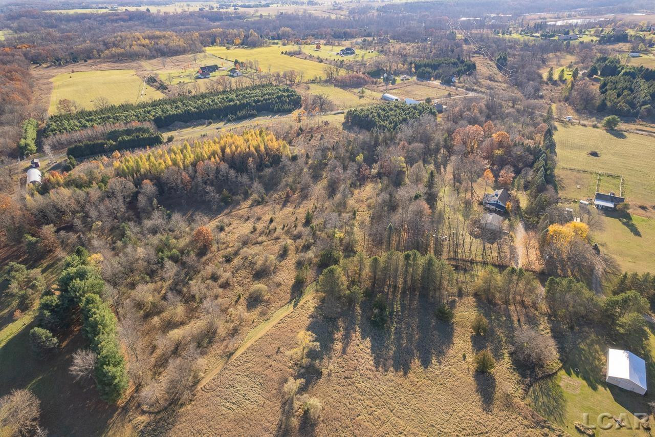 17665 W Pleasant Lake Road, Manchester, MI 48158 — Photo 46