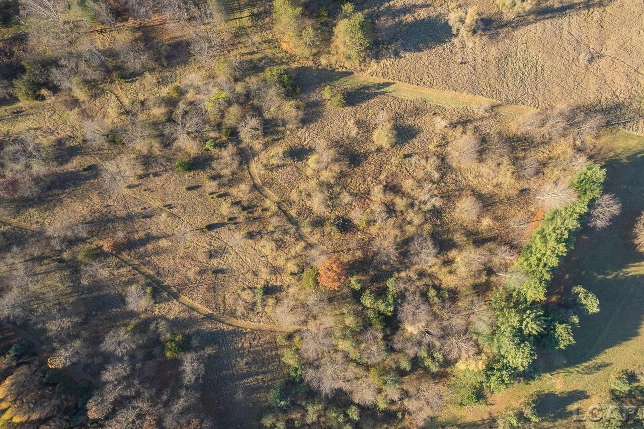 17665 W Pleasant Lake Road, Manchester, MI 48158 — Photo 56