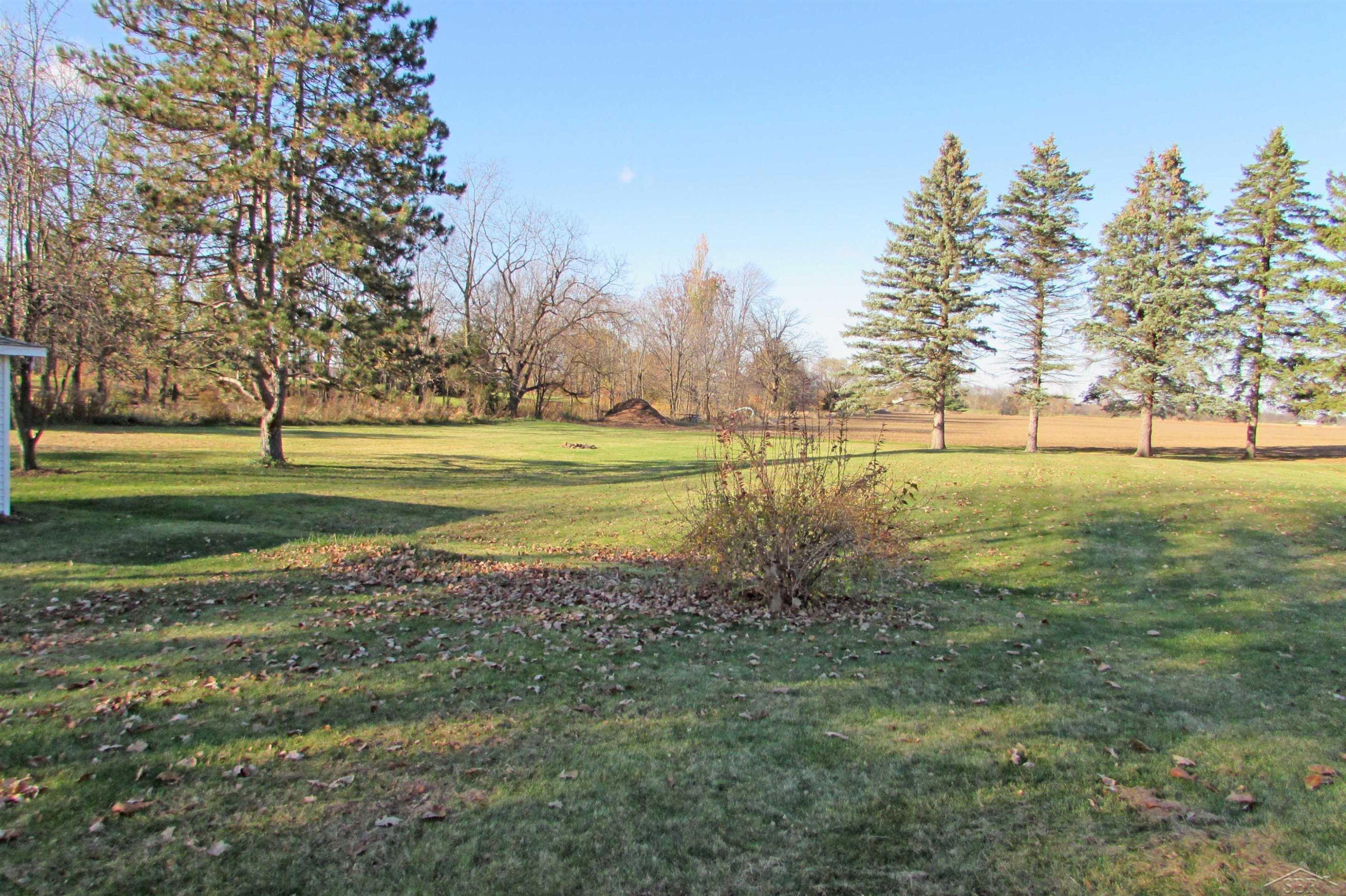9800 Ferden Road, Chesaning, MI 48616 — Photo 59