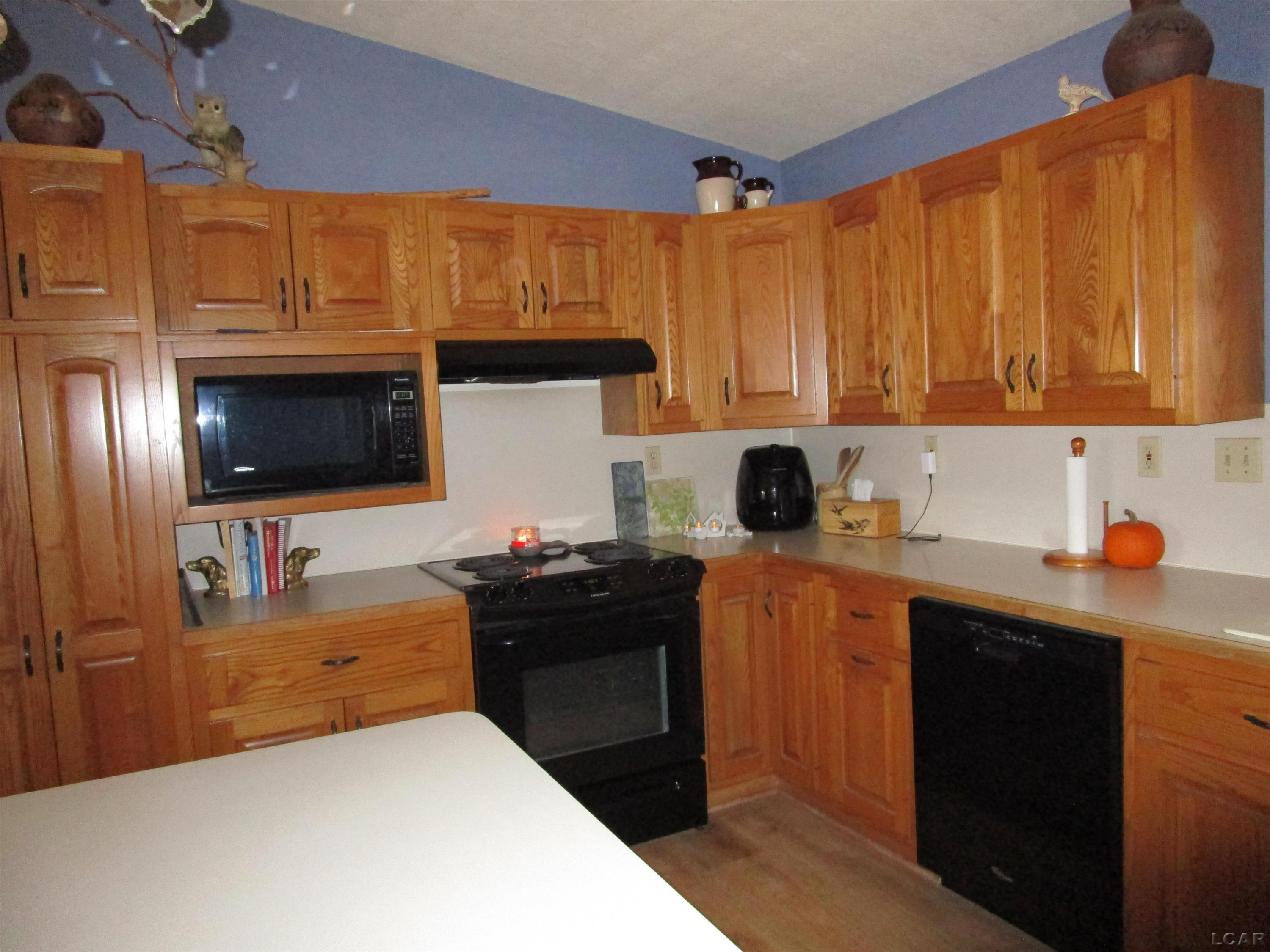 7721 Topinabee Dr Drive, Montgomery, MI 49225 — Photo 18