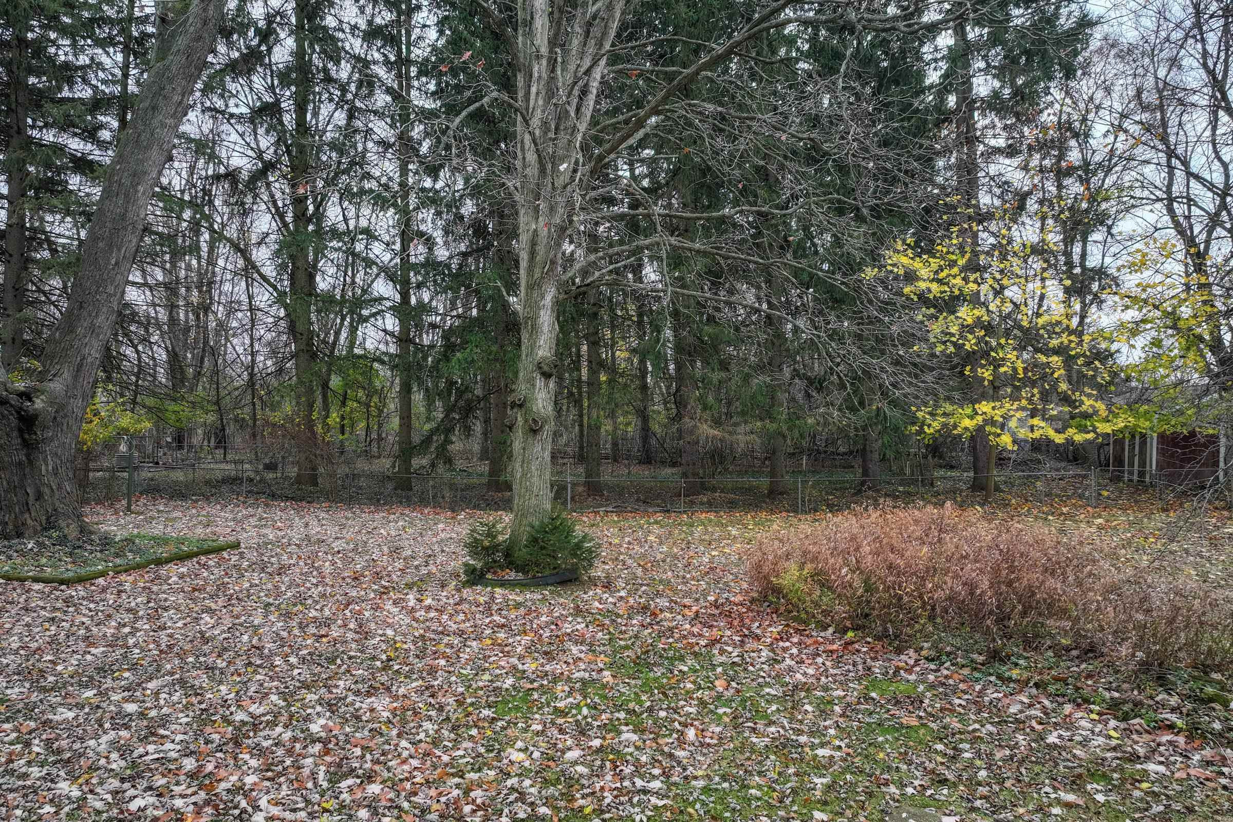 301 Airport, Holly, MI 48442 — Photo 10