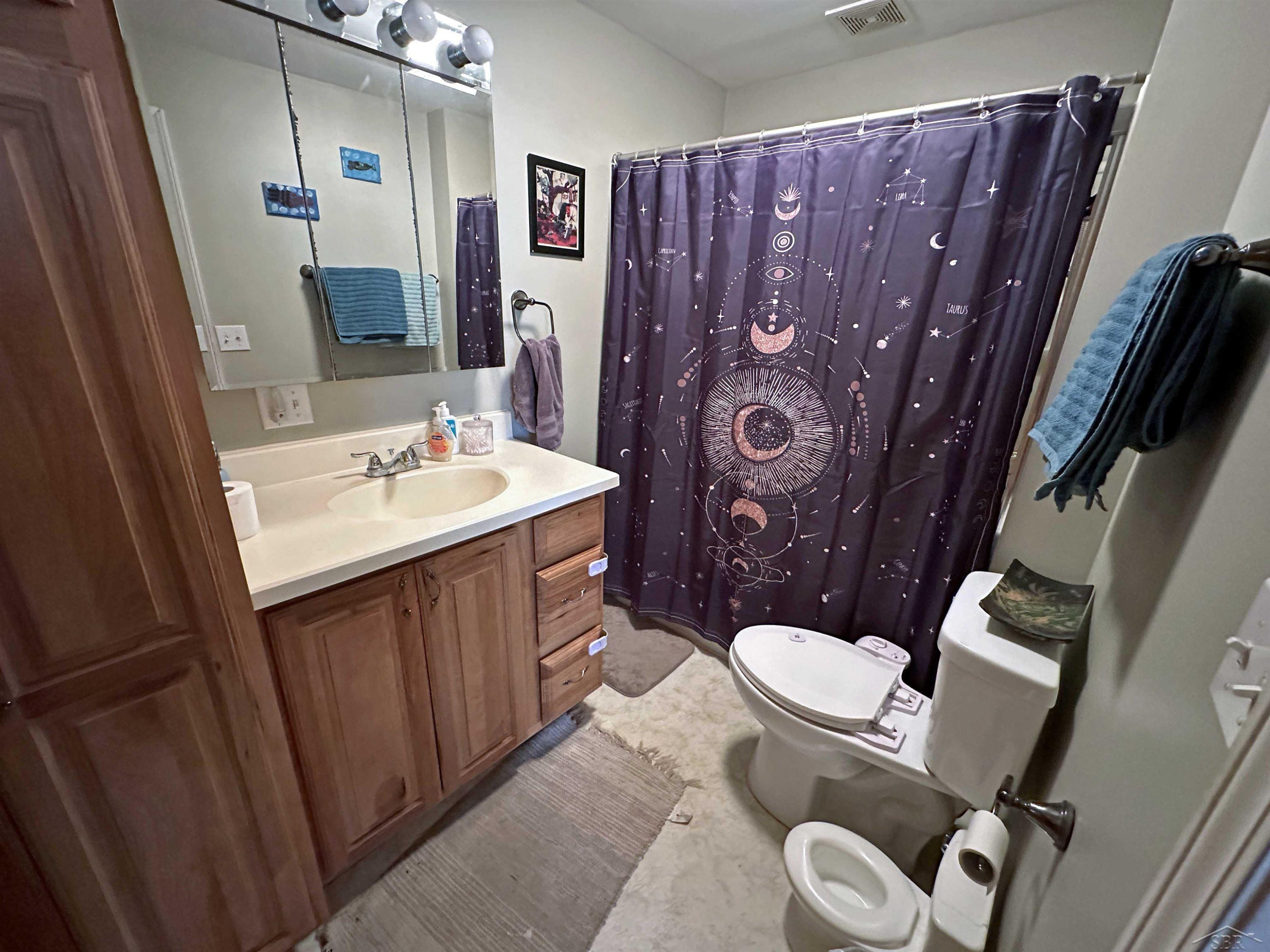 416 Center Street, Chesaning, MI 48616 — Photo 21