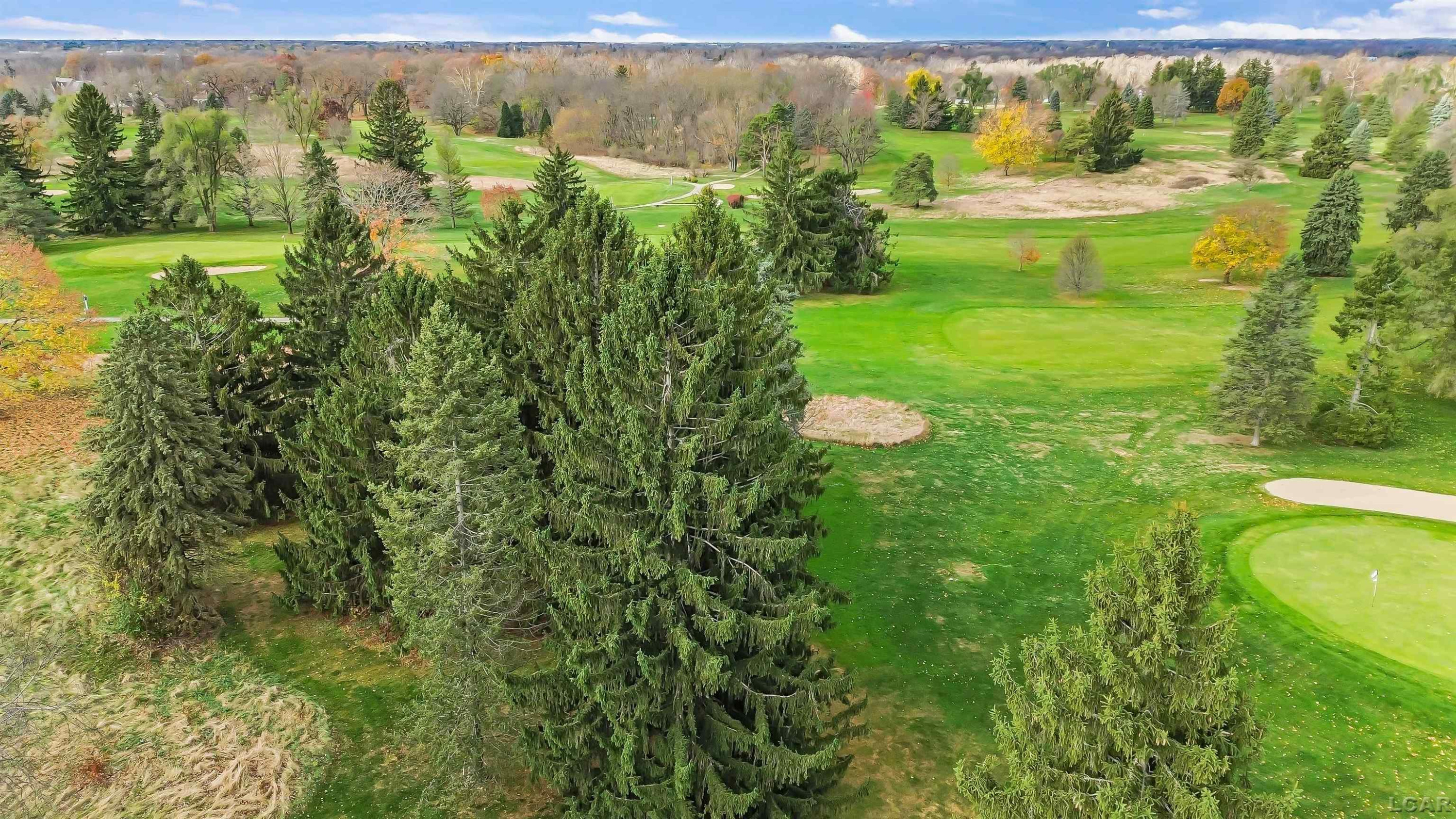 8770 Loire Valley, Tecumseh, MI 49286 — Photo 55