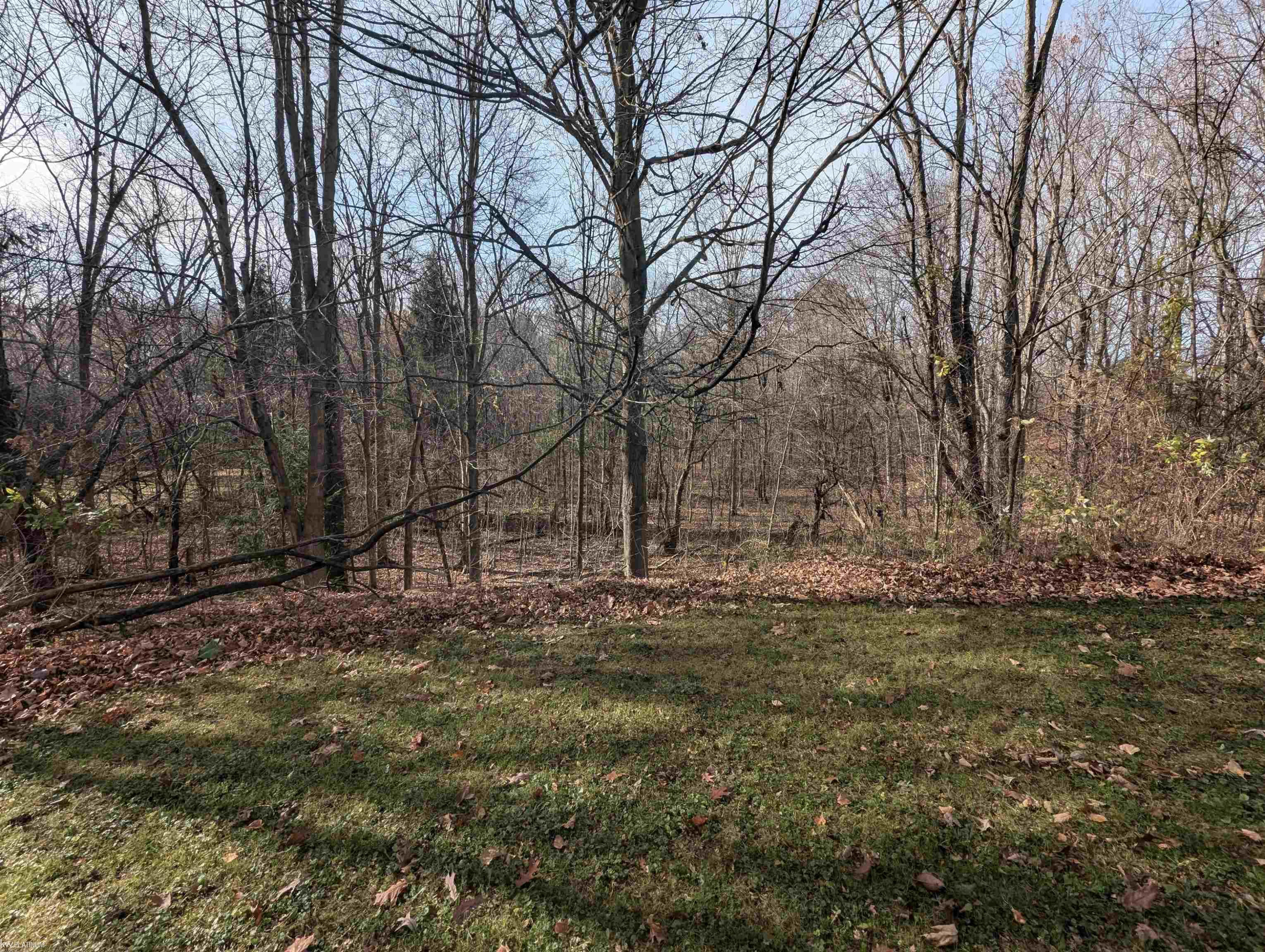 79235 Memphis Ridge Road, Richmond, MI 48062 — Photo 14