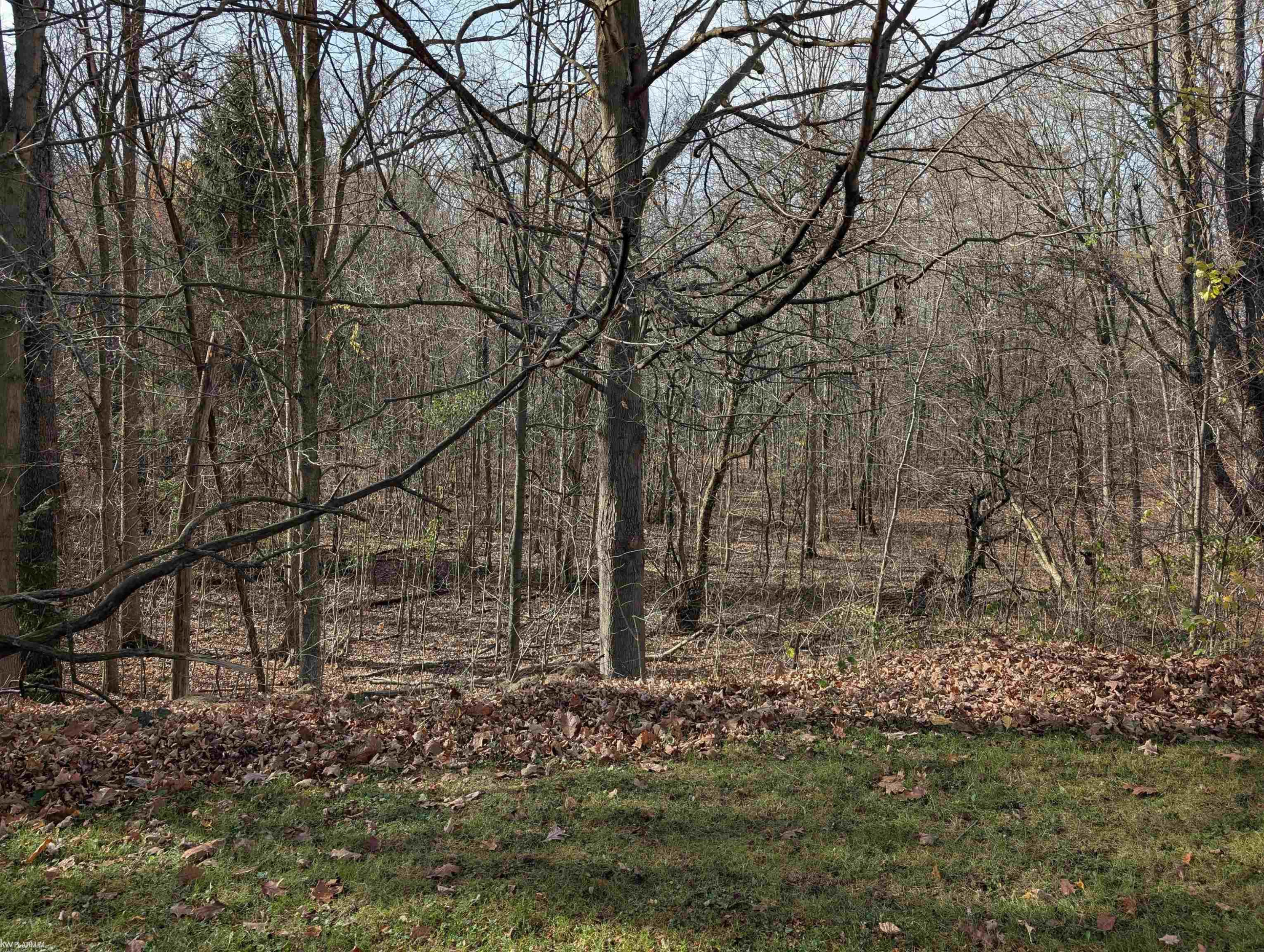 79235 Memphis Ridge Road, Richmond, MI 48062 — Photo 15