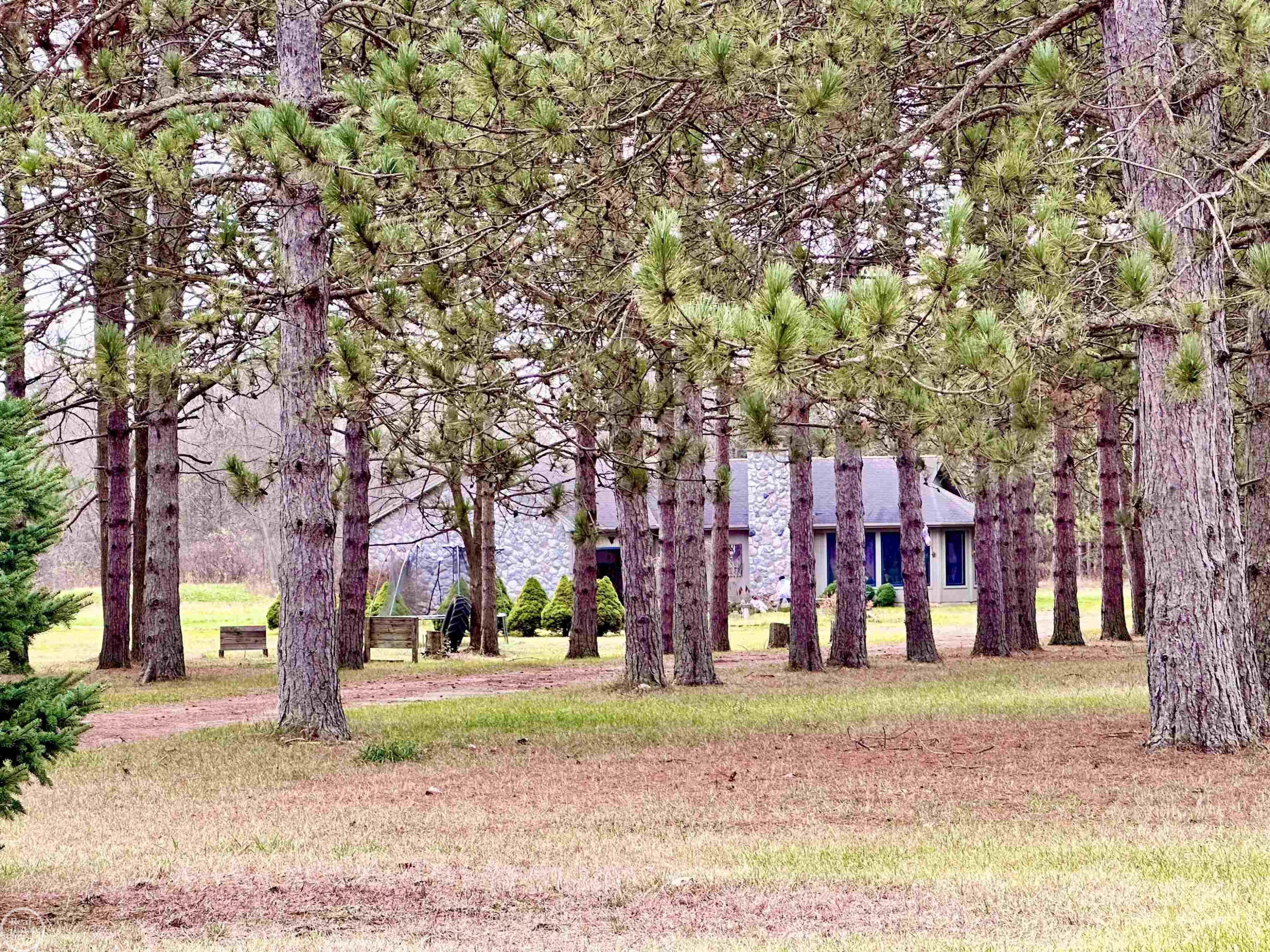 7171 Hewitt Road, Grant, MI 48032 — Photo 2