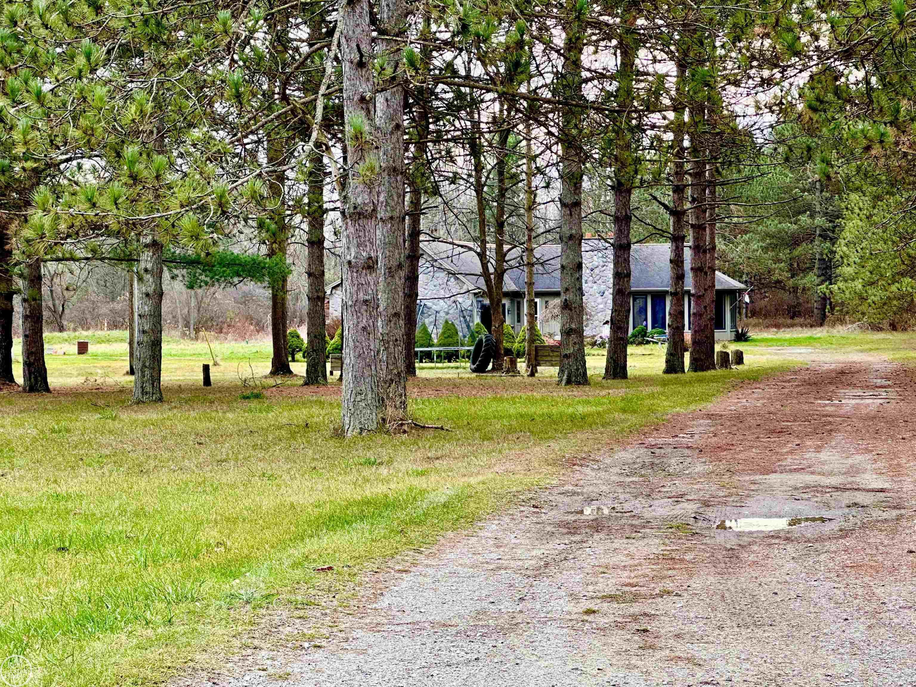 7171 Hewitt Road, Grant, MI 48032 — Photo 3