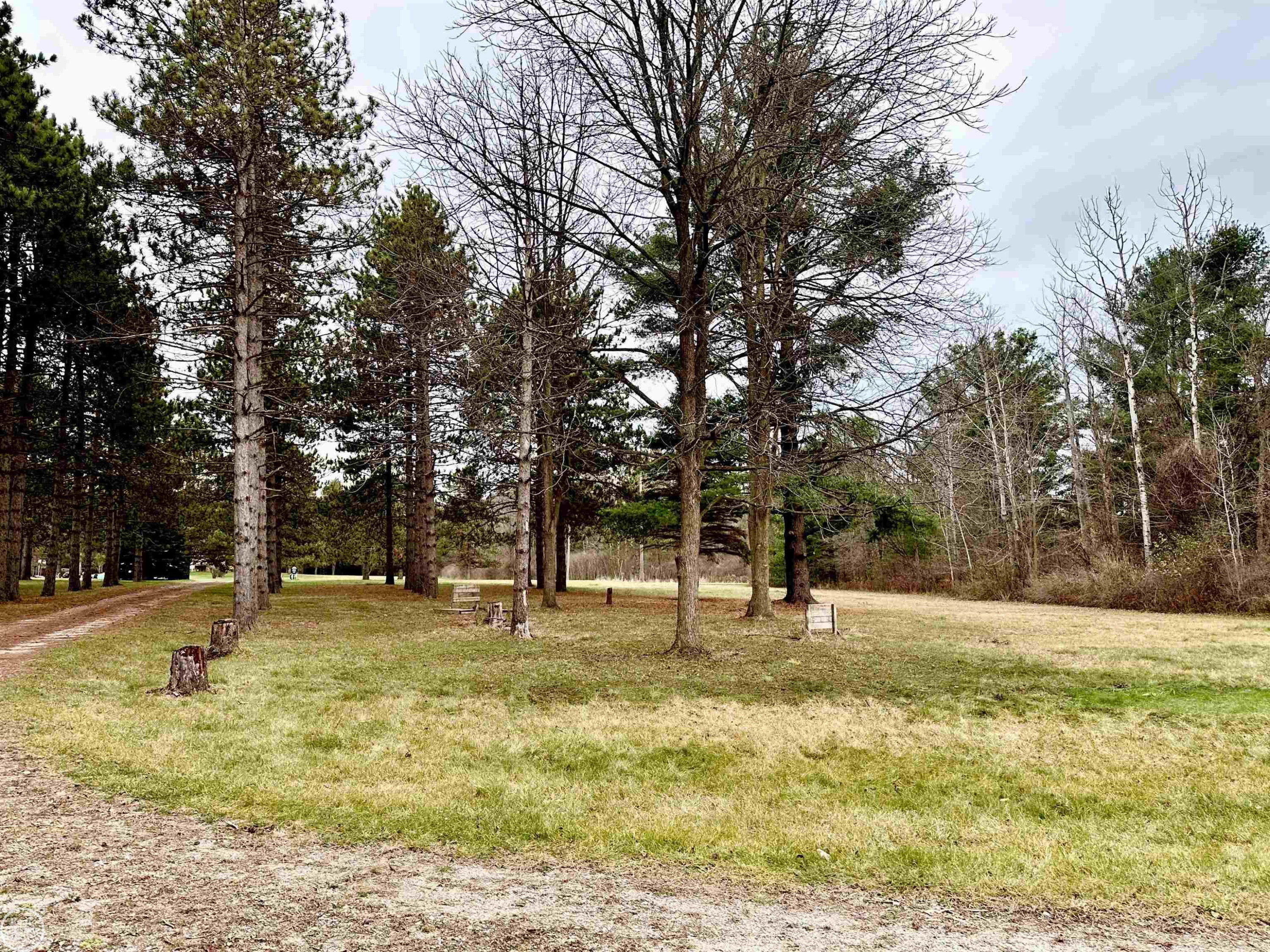7171 Hewitt Road, Grant, MI 48032 — Photo 36
