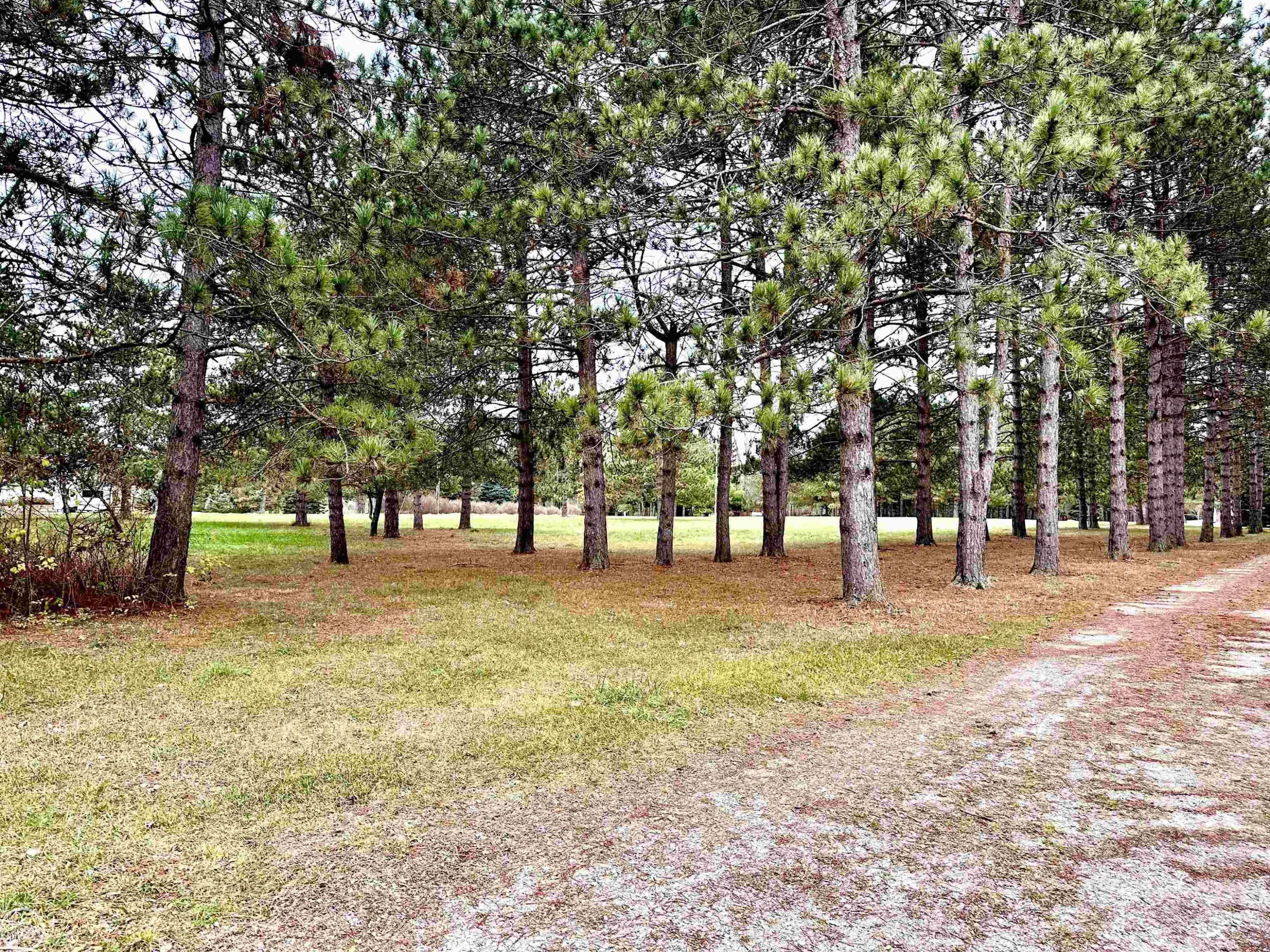 7171 Hewitt Road, Grant, MI 48032 — Photo 40