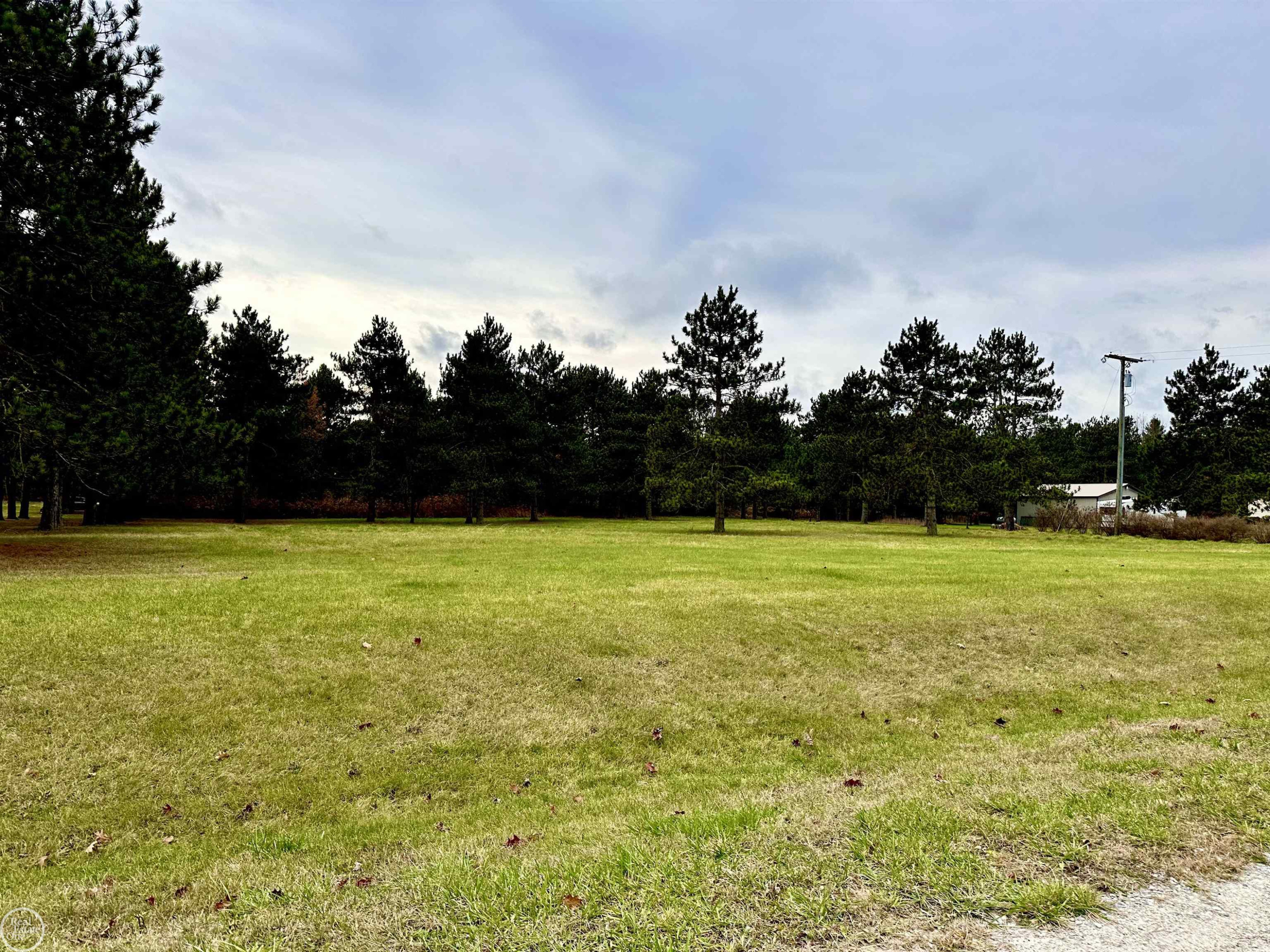 7171 Hewitt Road, Grant, MI 48032 — Photo 41