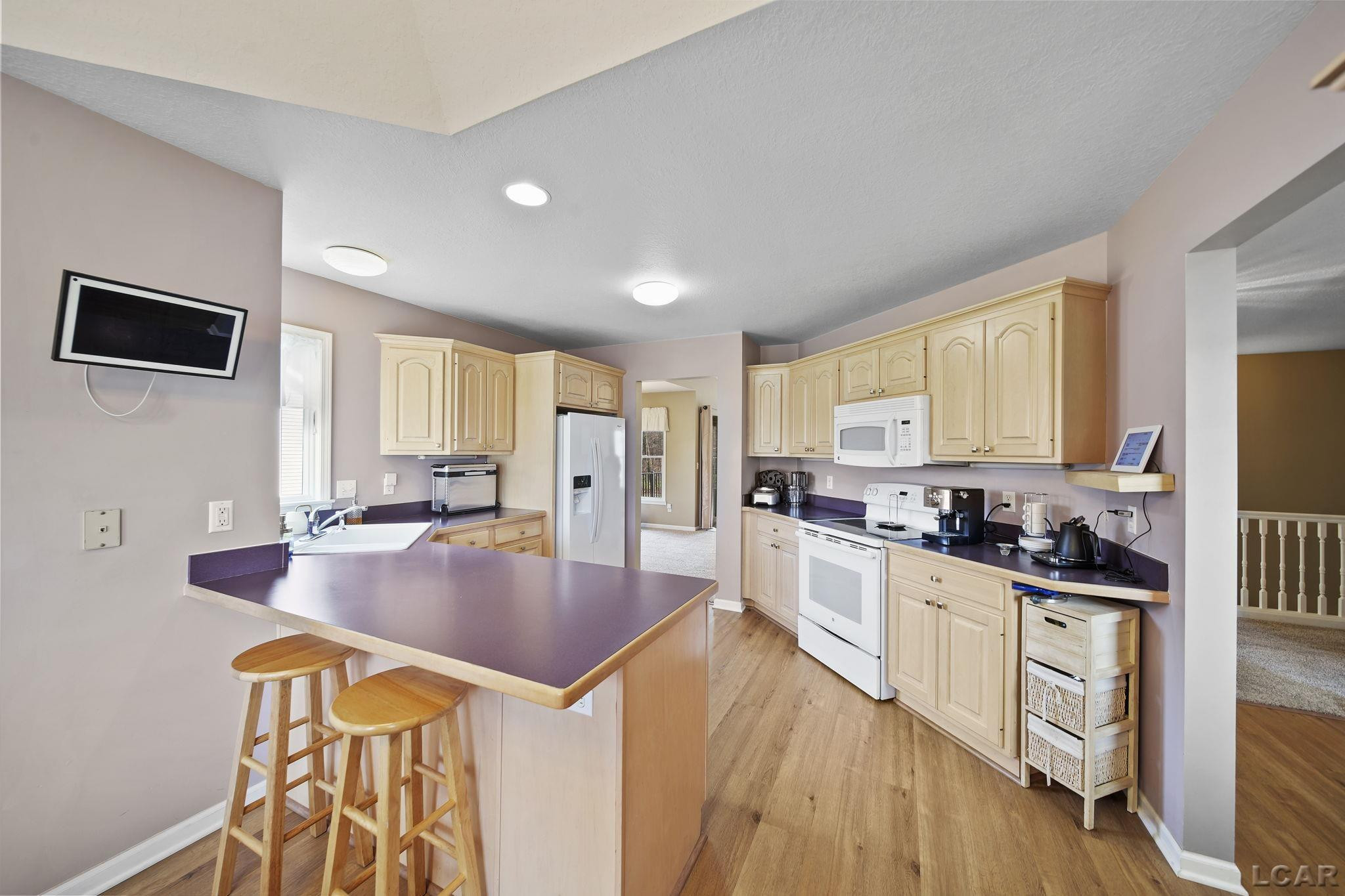 329 Woodside, Onsted, MI 49265 — Photo 6
