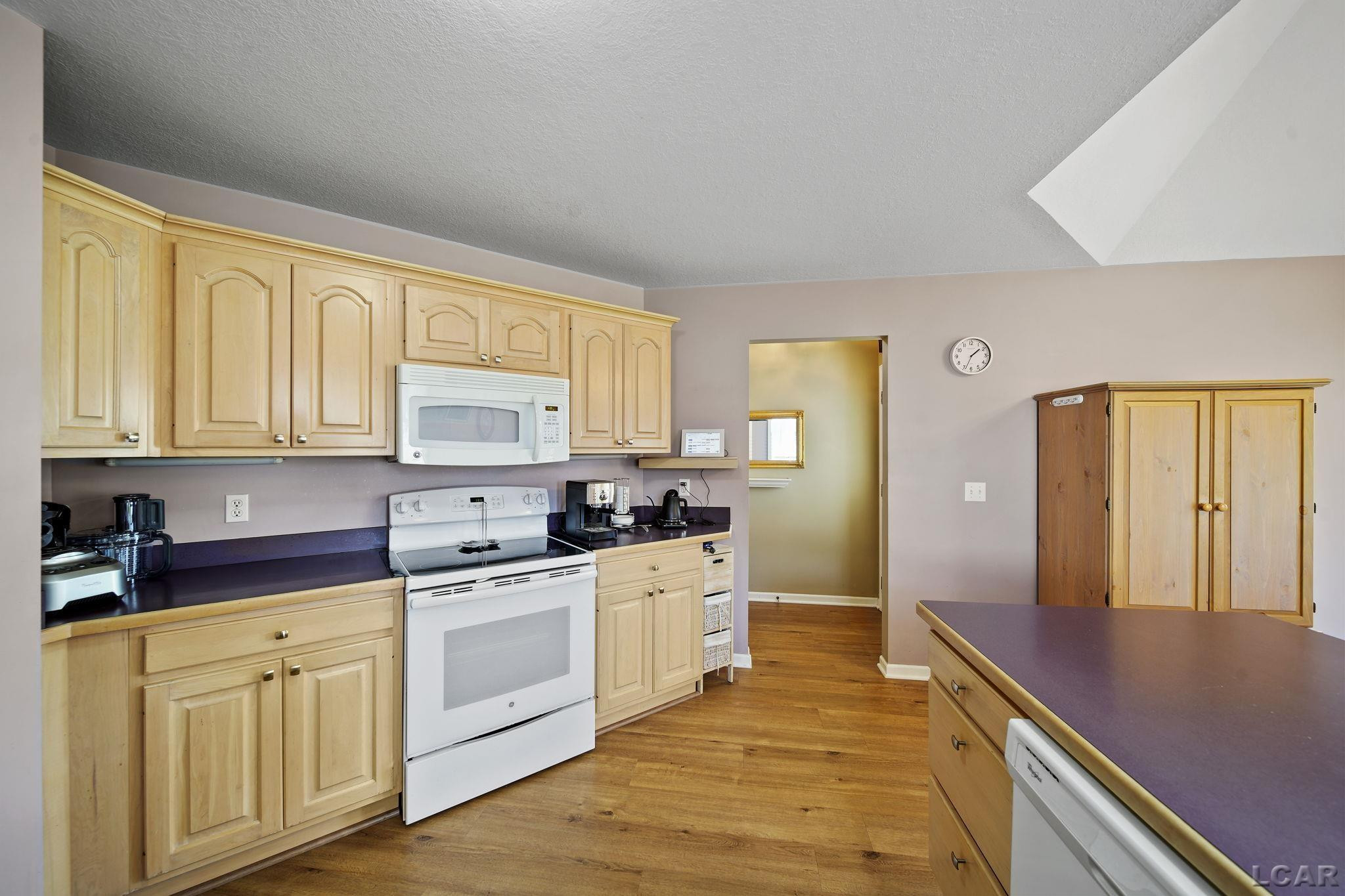 329 Woodside, Onsted, MI 49265 — Photo 8