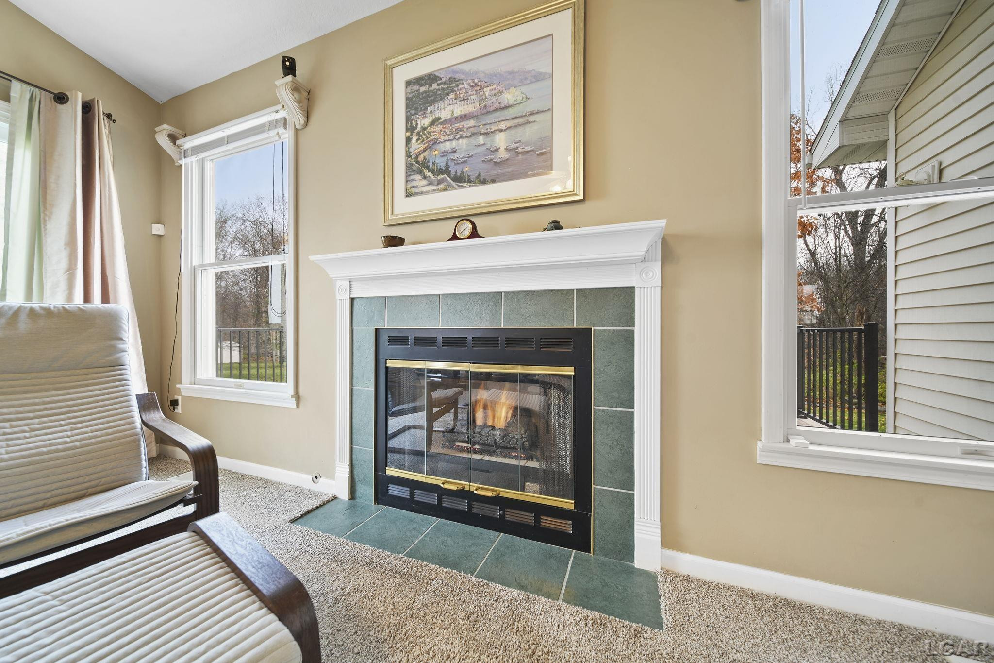 329 Woodside, Onsted, MI 49265 — Photo 13