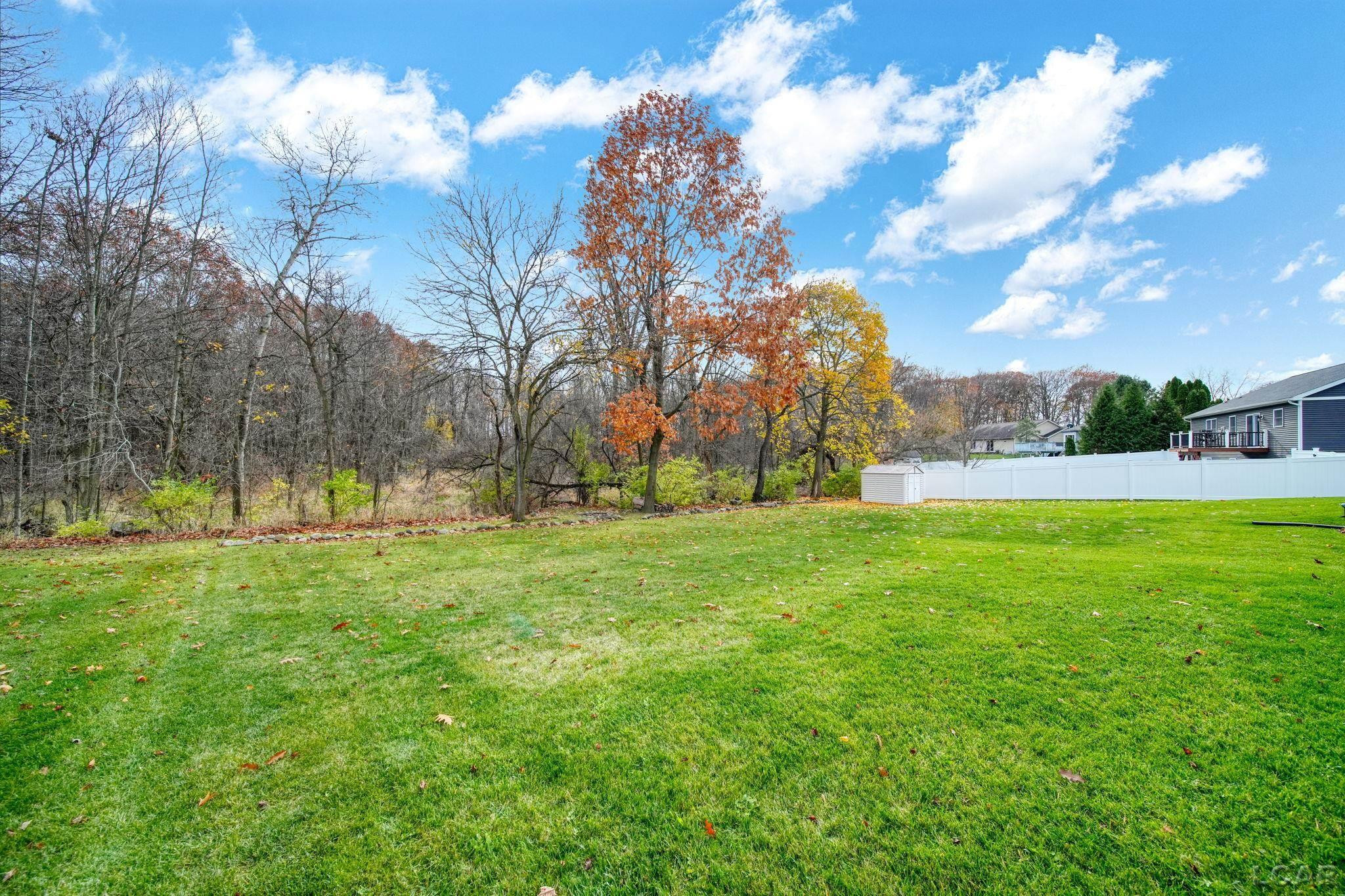 329 Woodside, Onsted, MI 49265 — Photo 35
