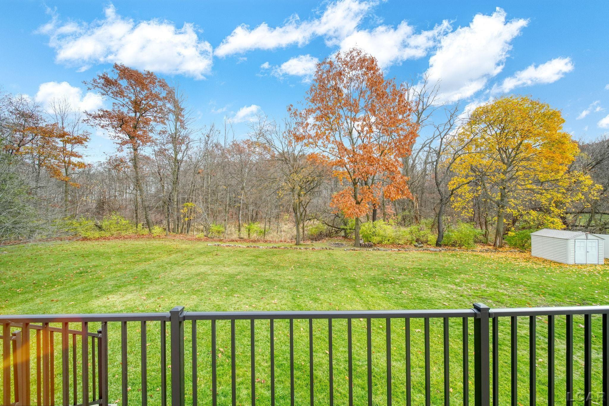 329 Woodside, Onsted, MI 49265 — Photo 43