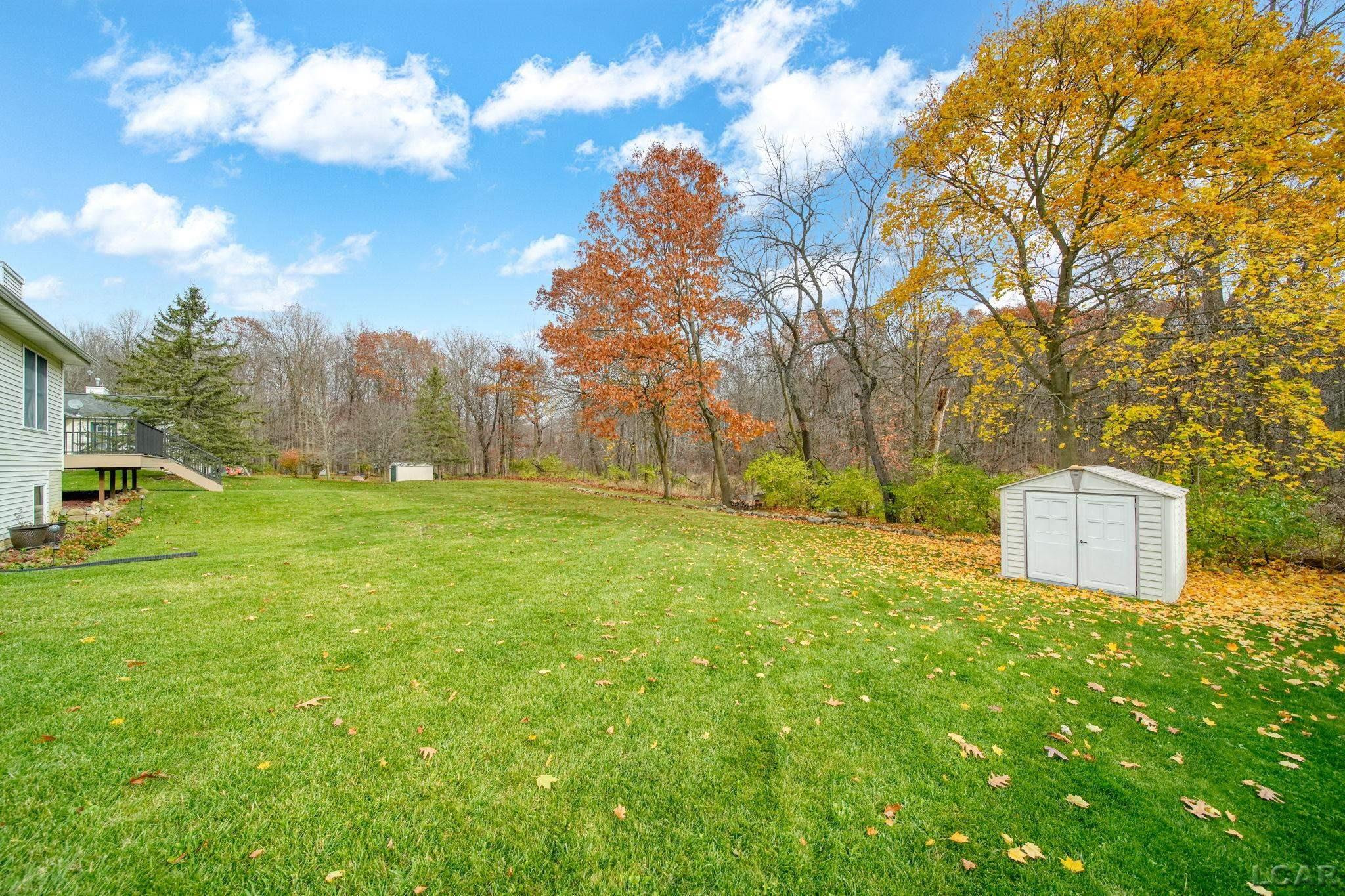 329 Woodside, Onsted, MI 49265 — Photo 48