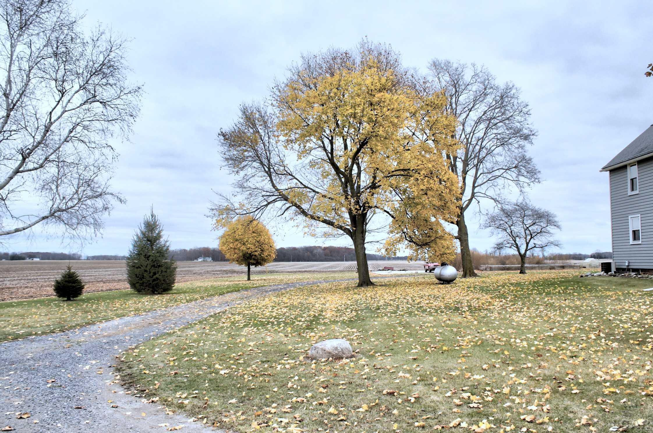 13000 Burma, Morenci, MI 49256 — Photo 31