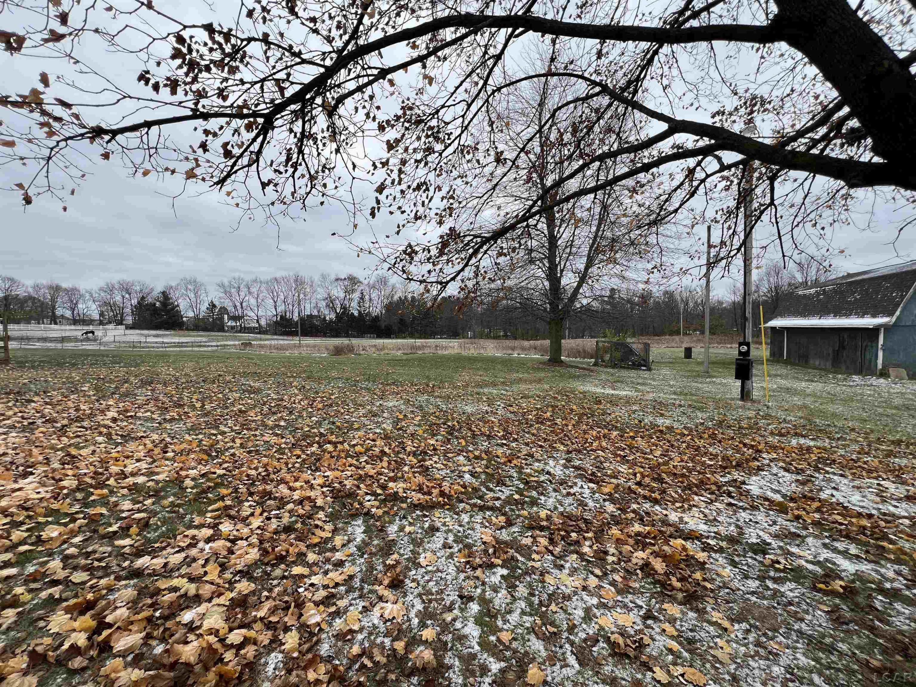 2799 E Munger, Tecumseh, MI 49286 — Photo 39