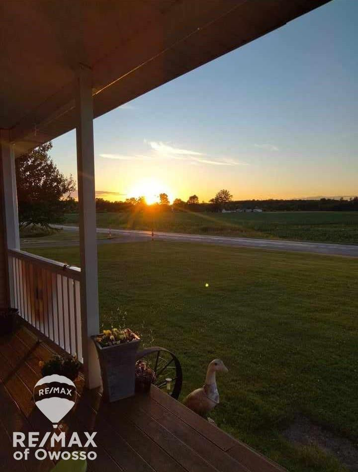 8585 Volkmer Road, Chesaning, MI 48616 — Photo 11