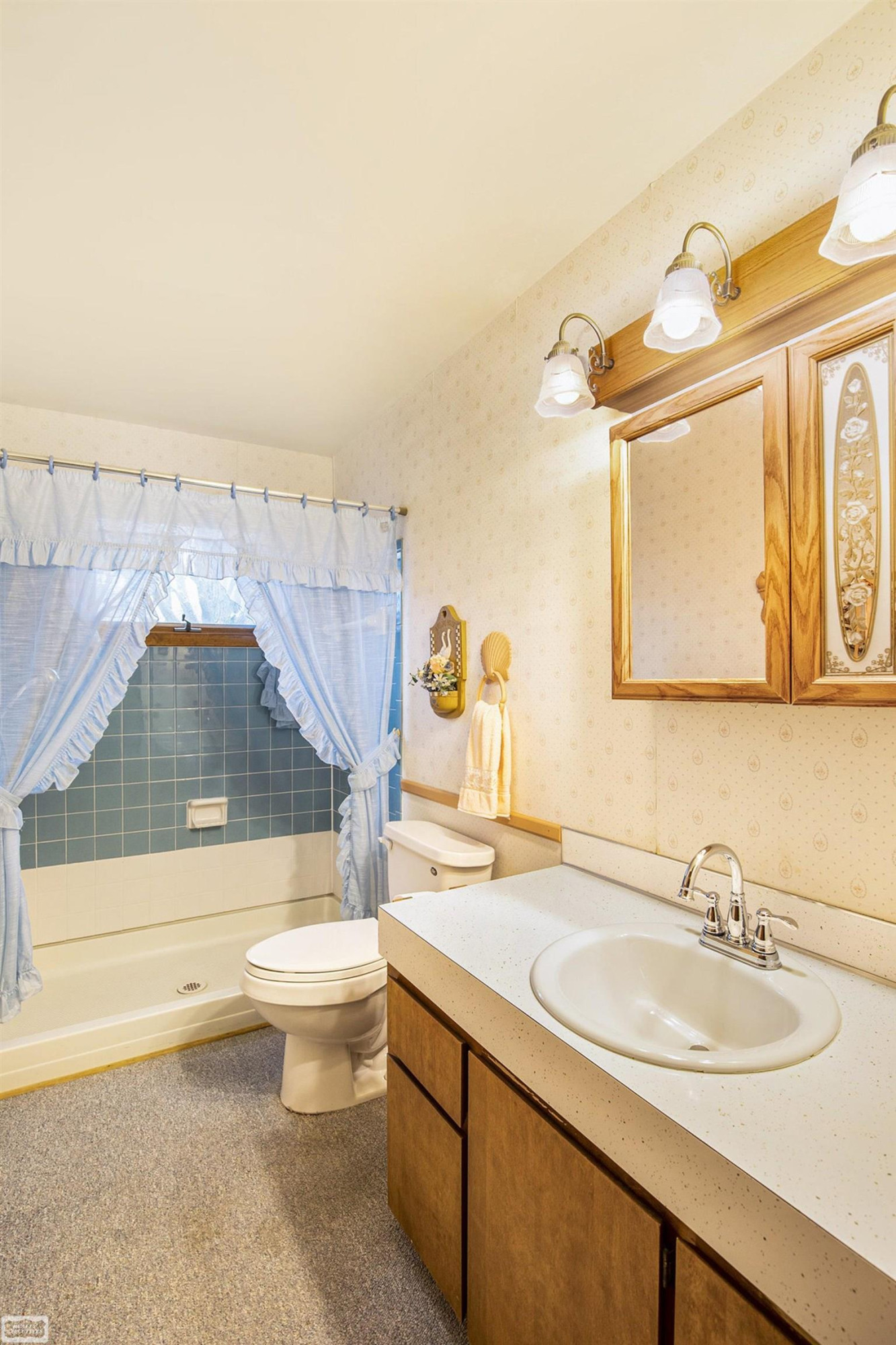 210 S Hunter Street, Capac, MI 48014 — Photo 9