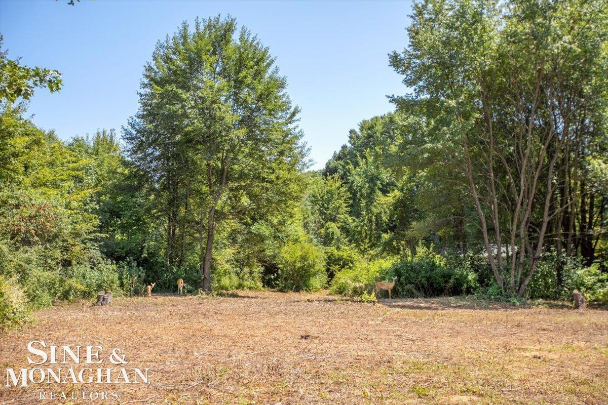 8481 McKinley Road, Algonac, MI 48001 — Photo 5