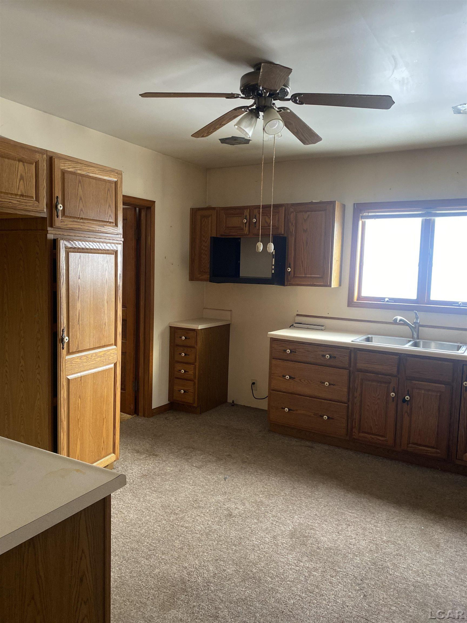 218 White, Blissfield, MI 49228 — Photo 4