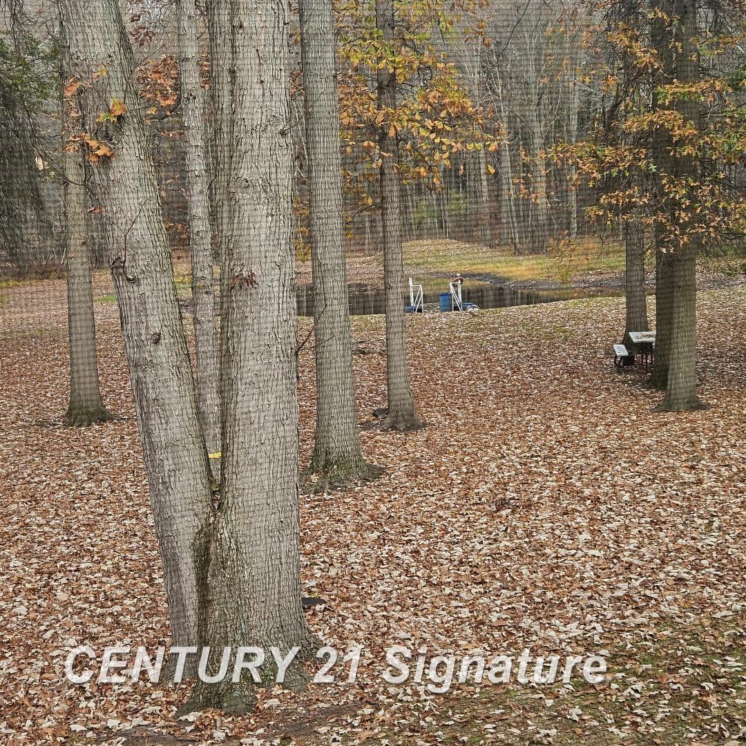 13540 Lakefield Road, Hemlock, MI 48626 — Photo 21