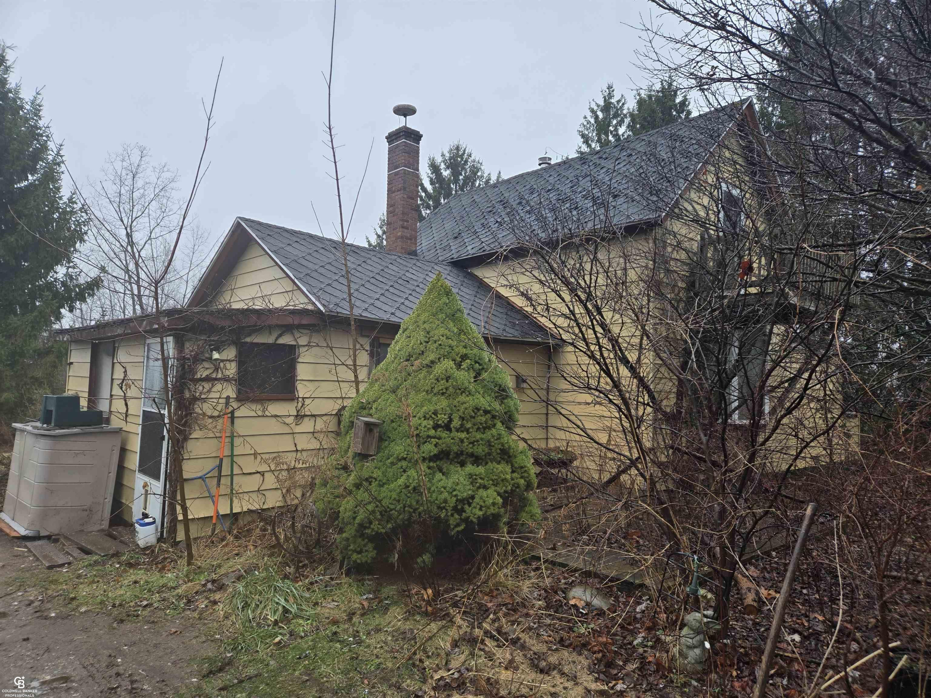 1815 Riley Center Road, MI — Photo 3