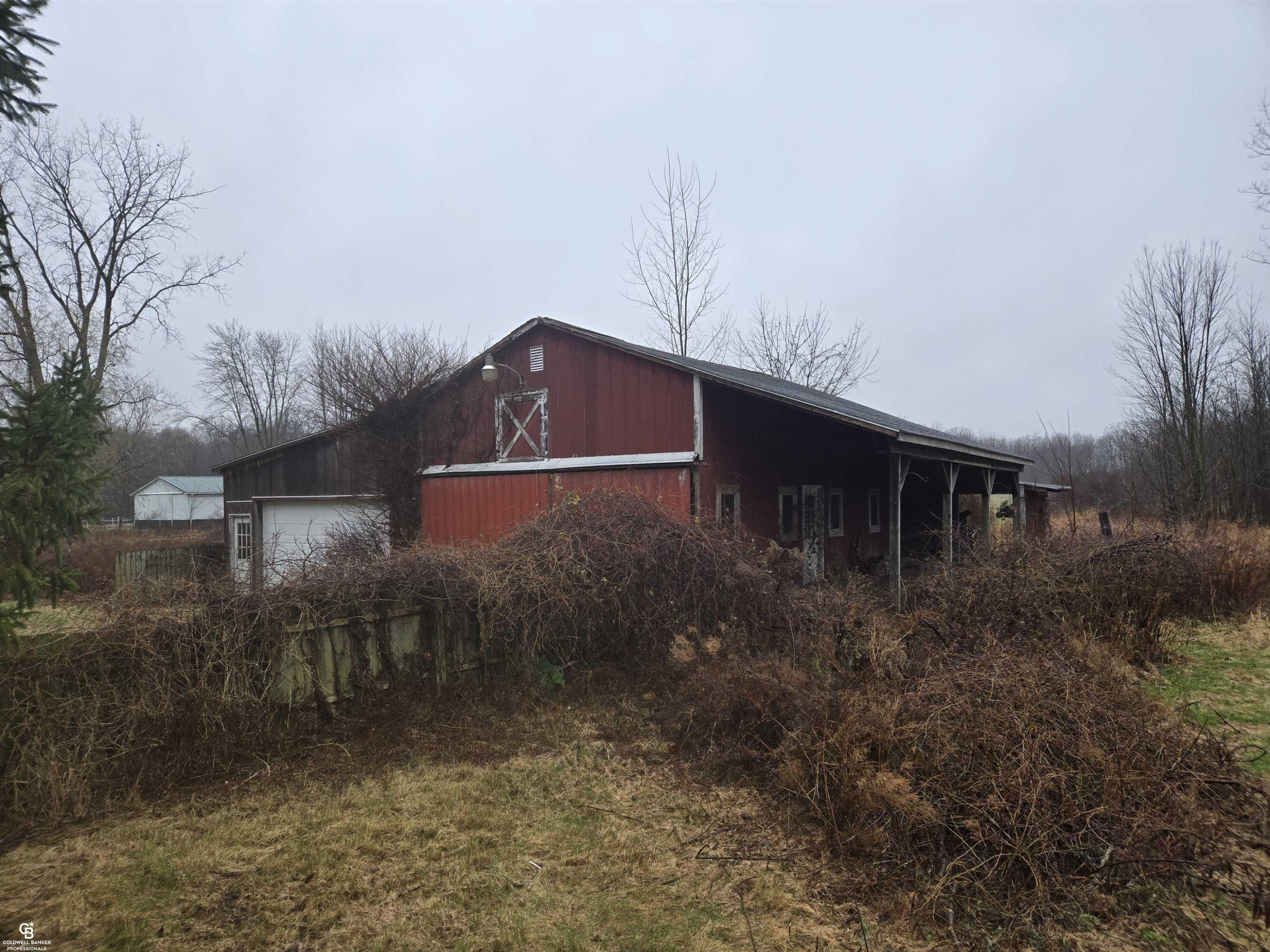 1815 Riley Center Road, MI — Photo 17