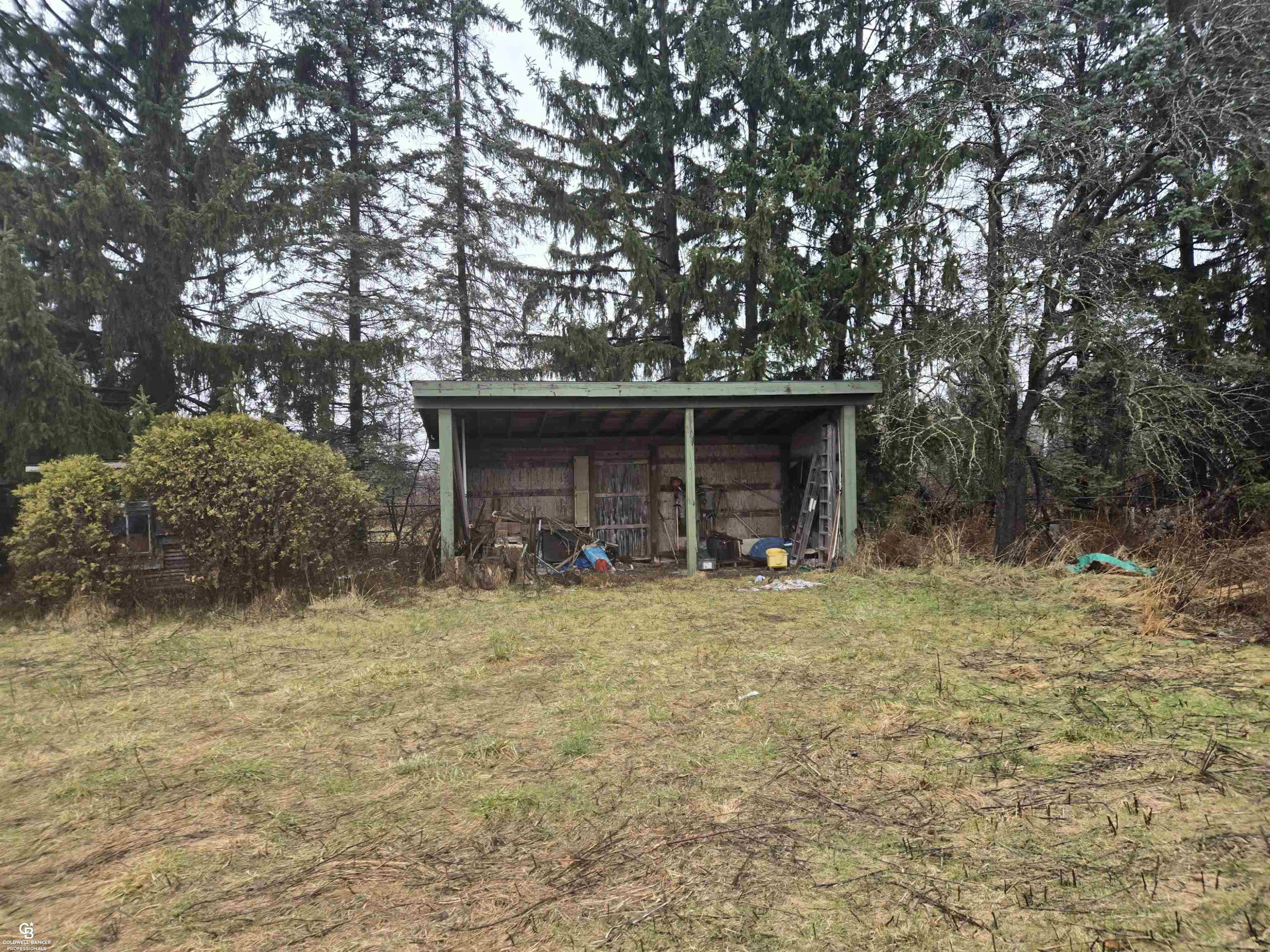 1815 Riley Center Road, MI — Photo 19