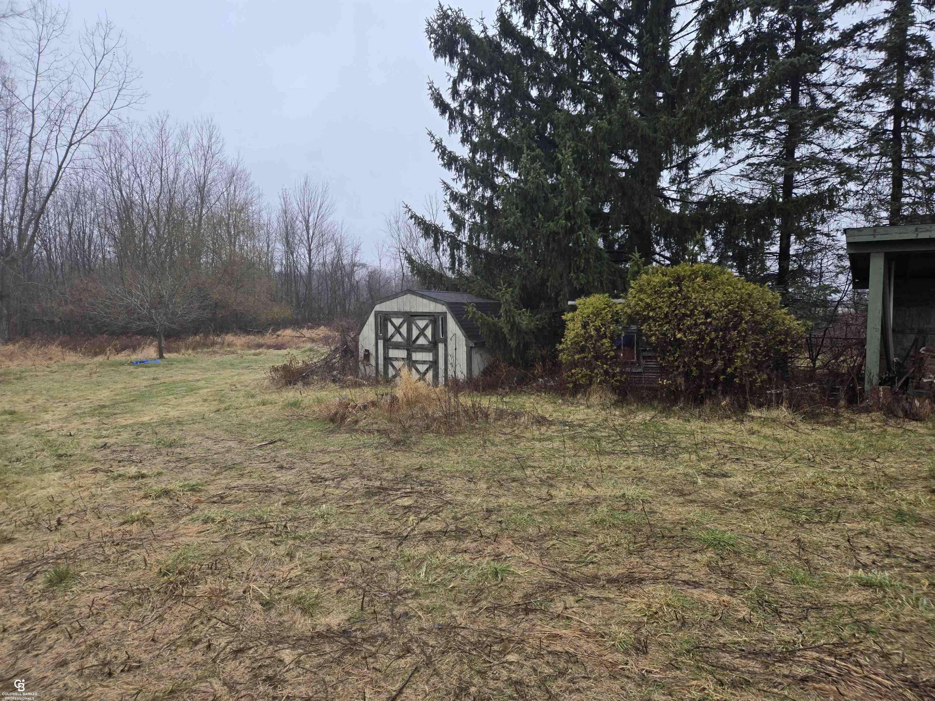 1815 Riley Center Road, MI — Photo 20